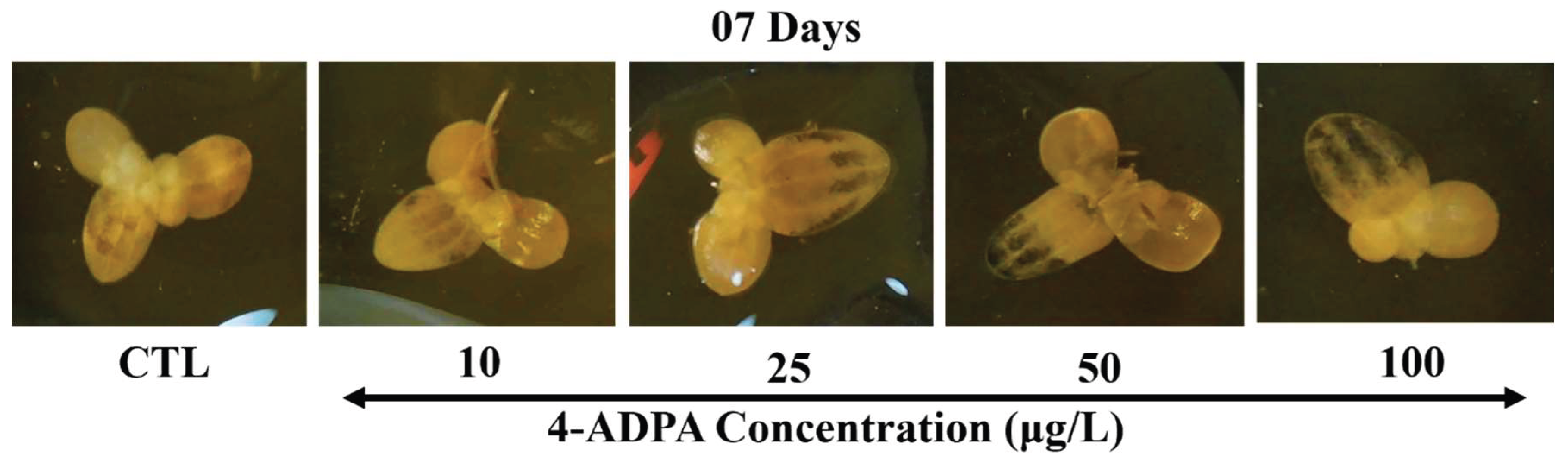 Preprints 159258 g004