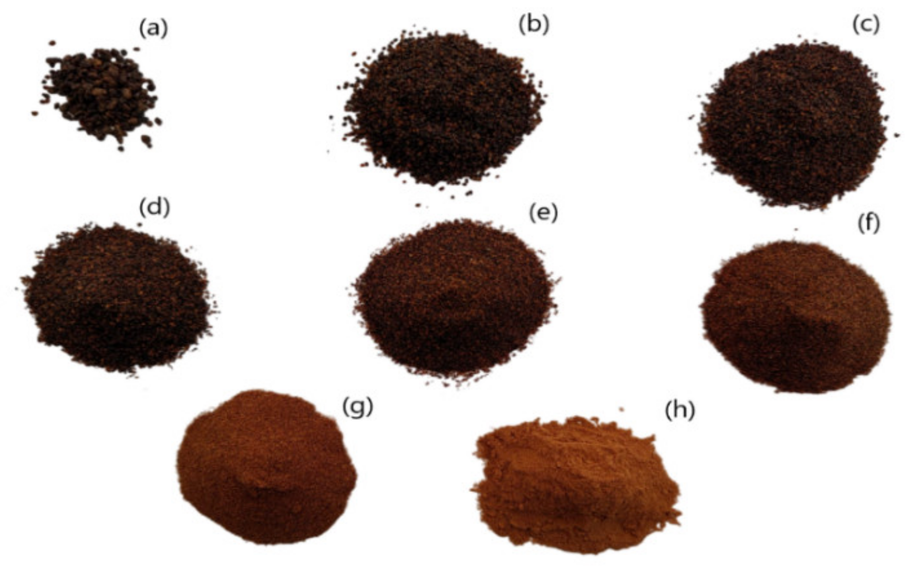 Preprints 110498 g001