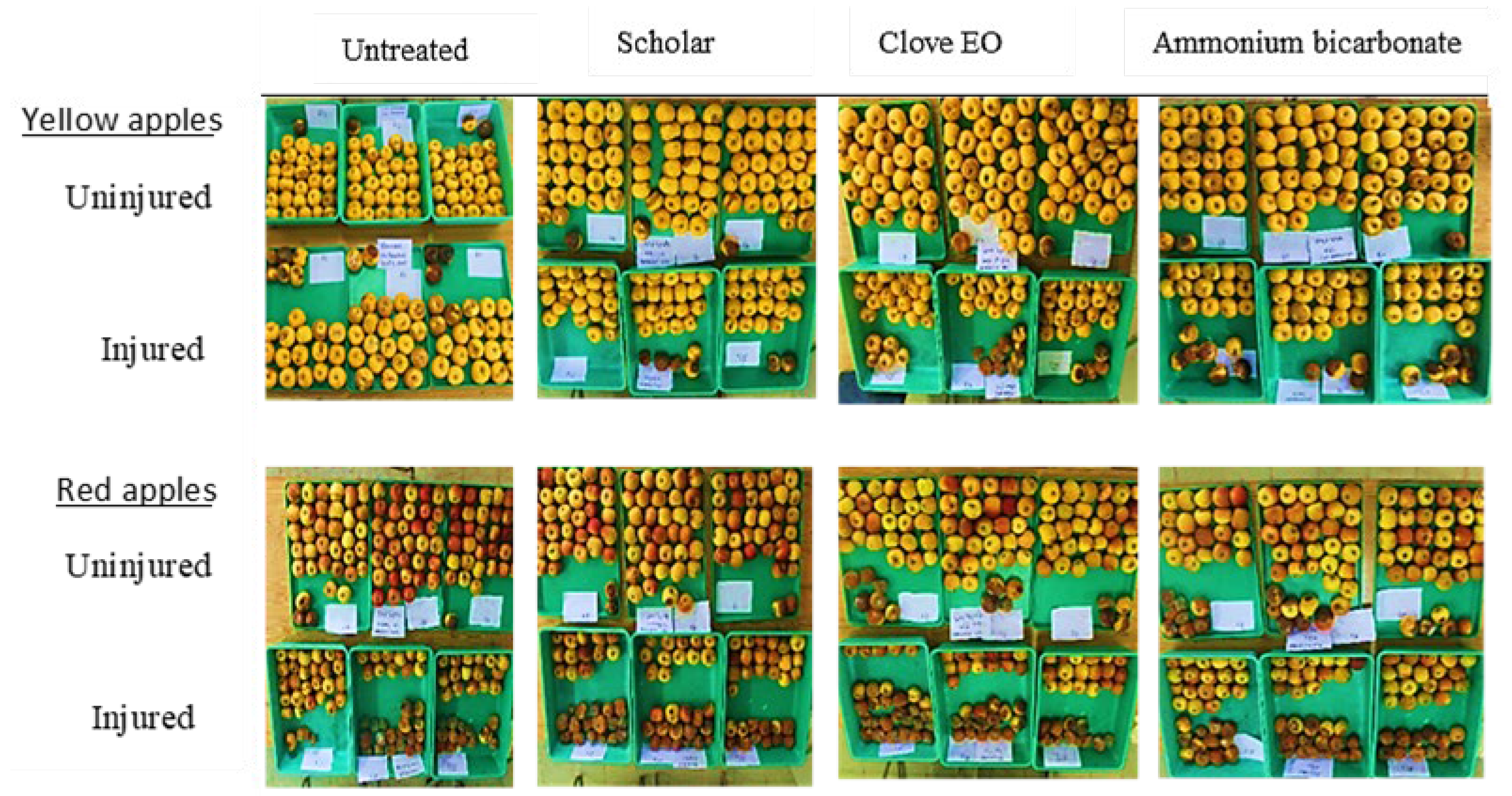 Preprints 218667 g006