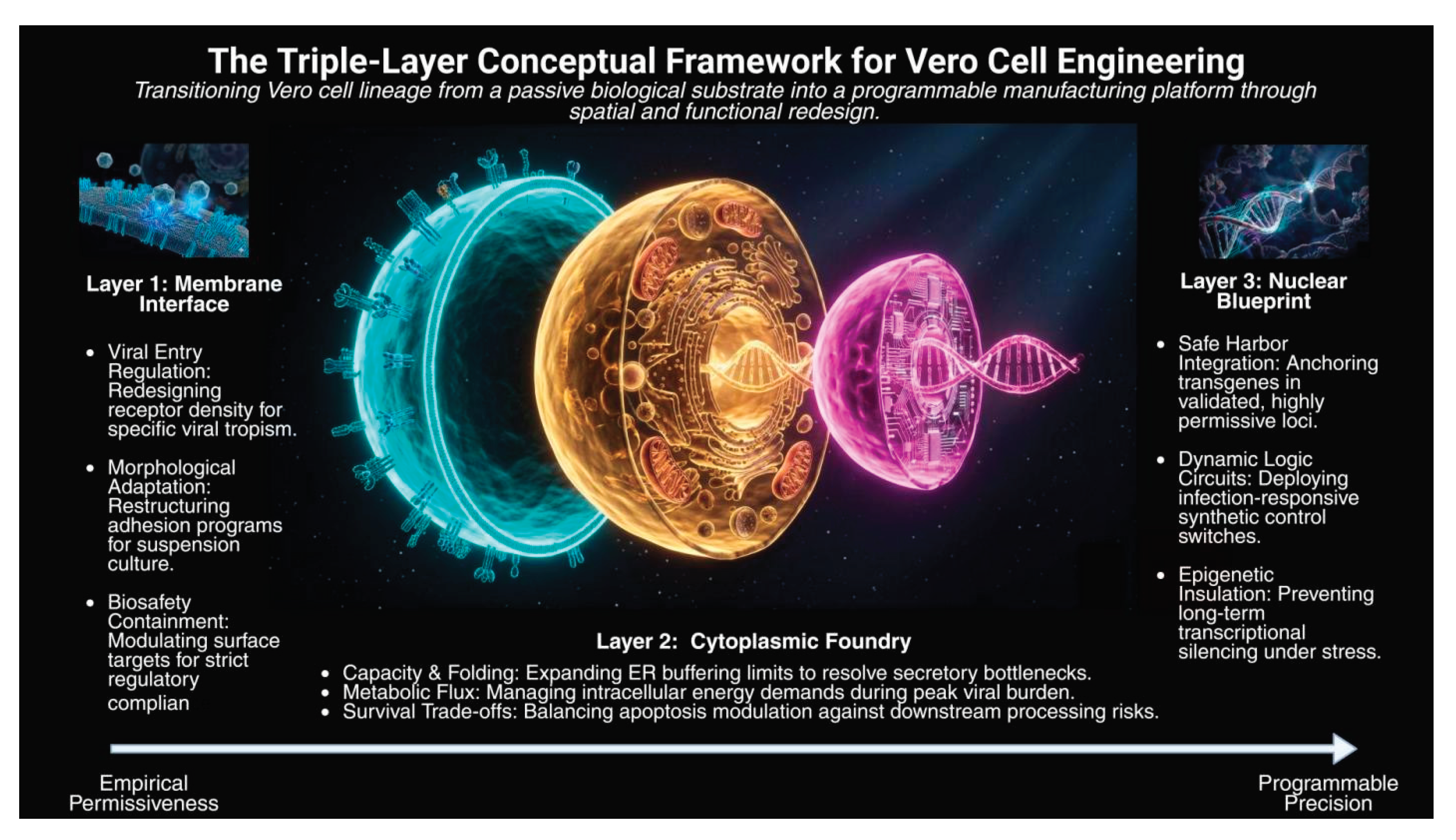 Preprints 209188 g001