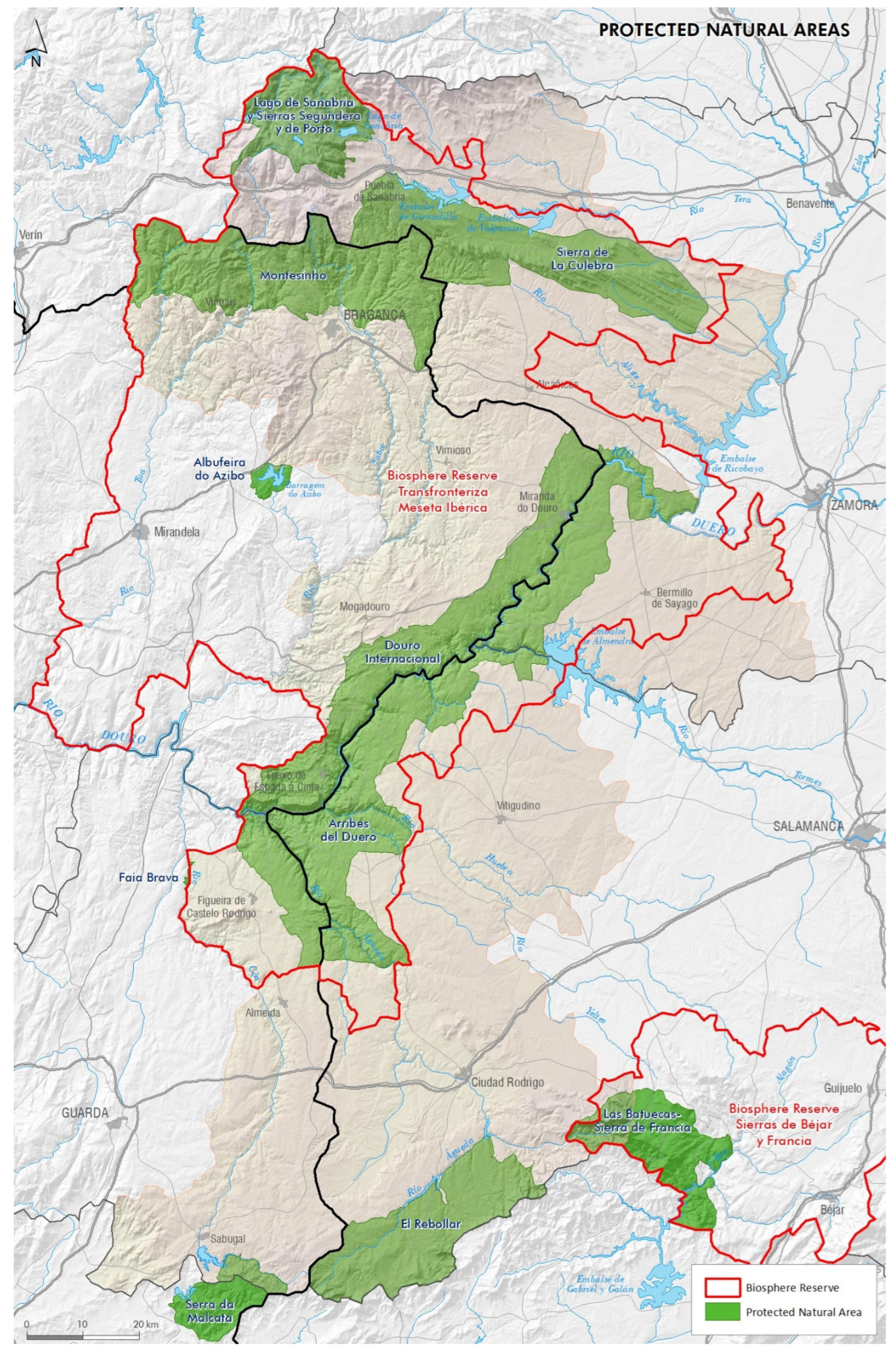 Preprints 172955 g003