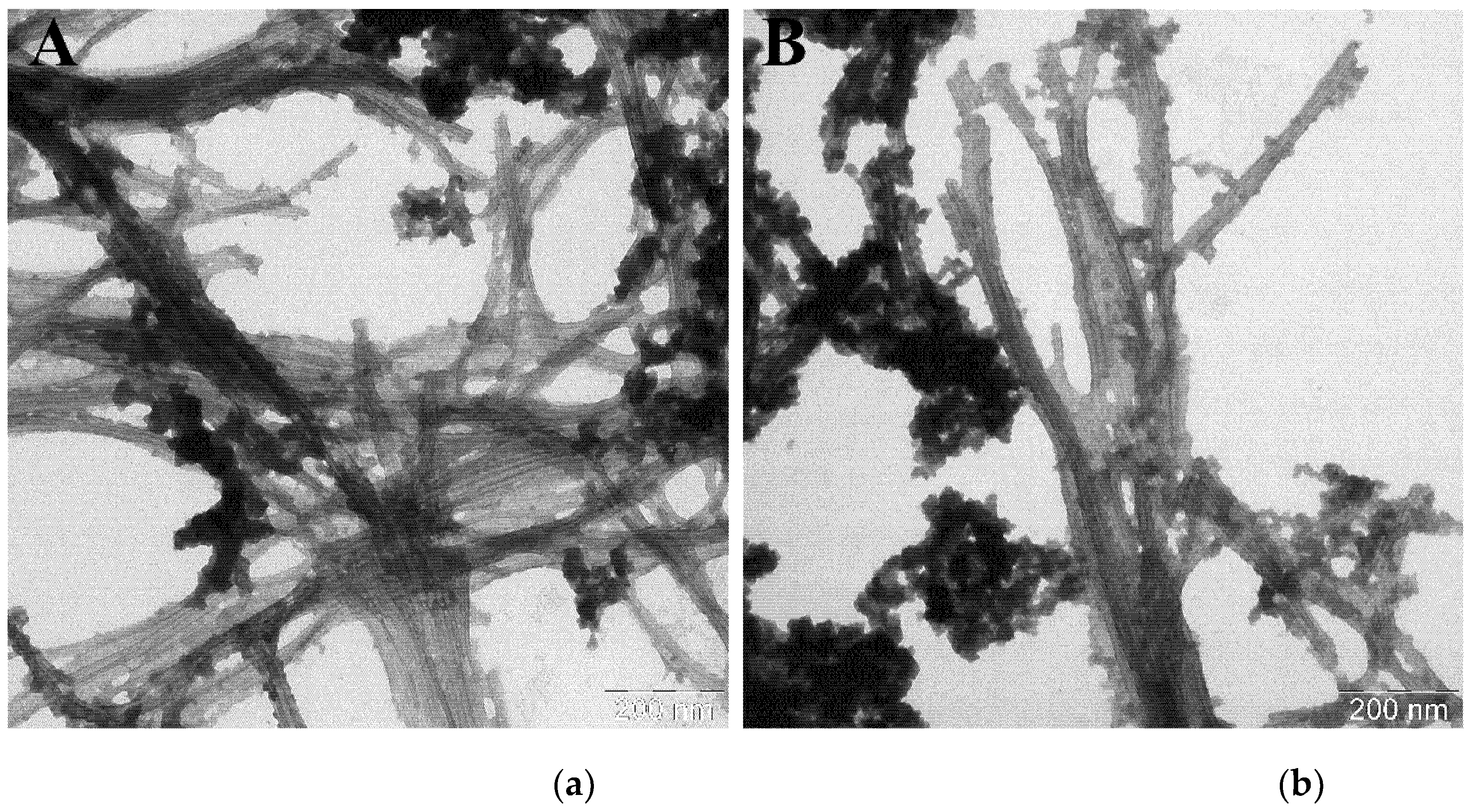 Preprints 203023 g005