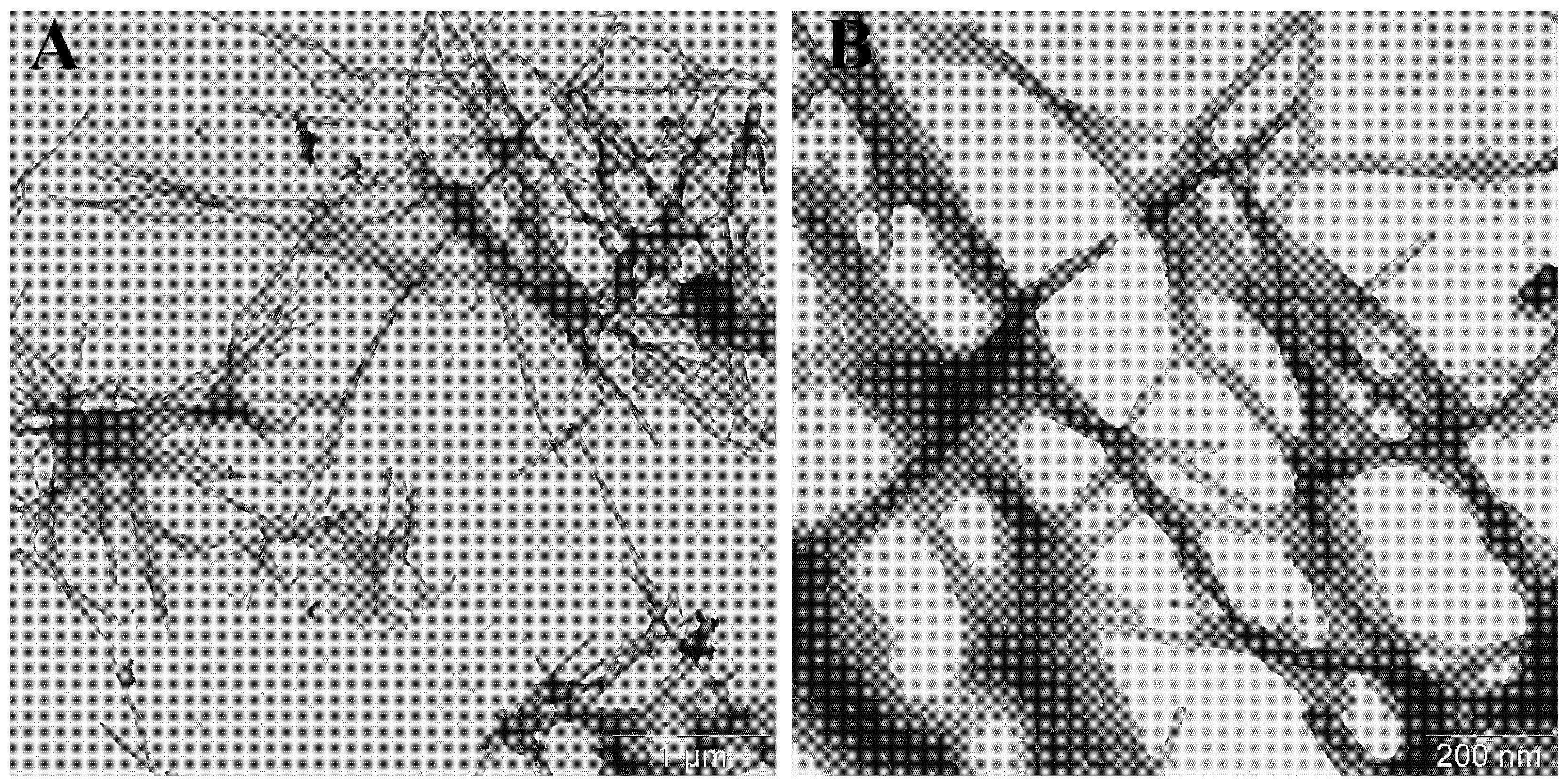 Preprints 203023 g006a