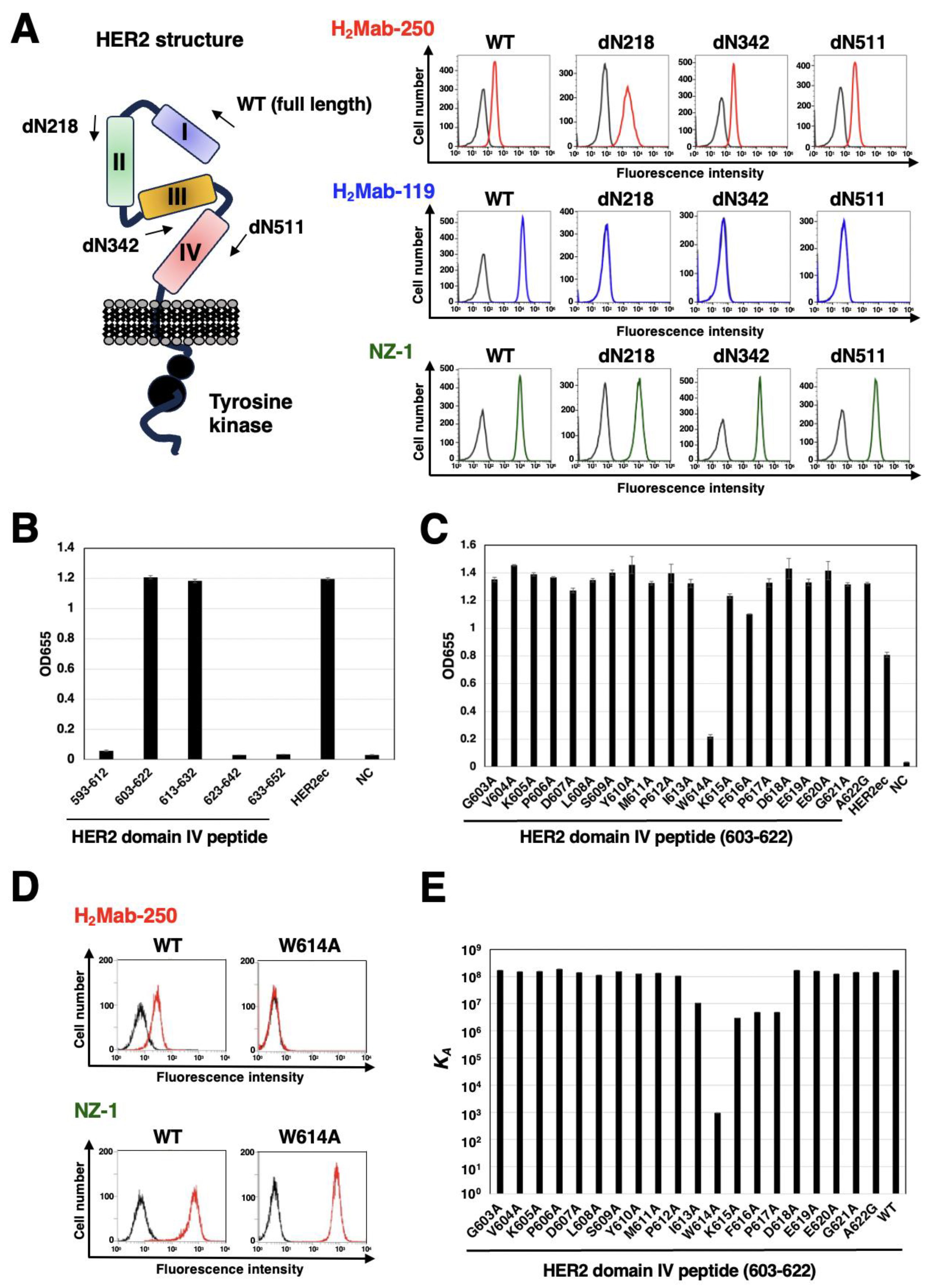 Preprints 95424 g004