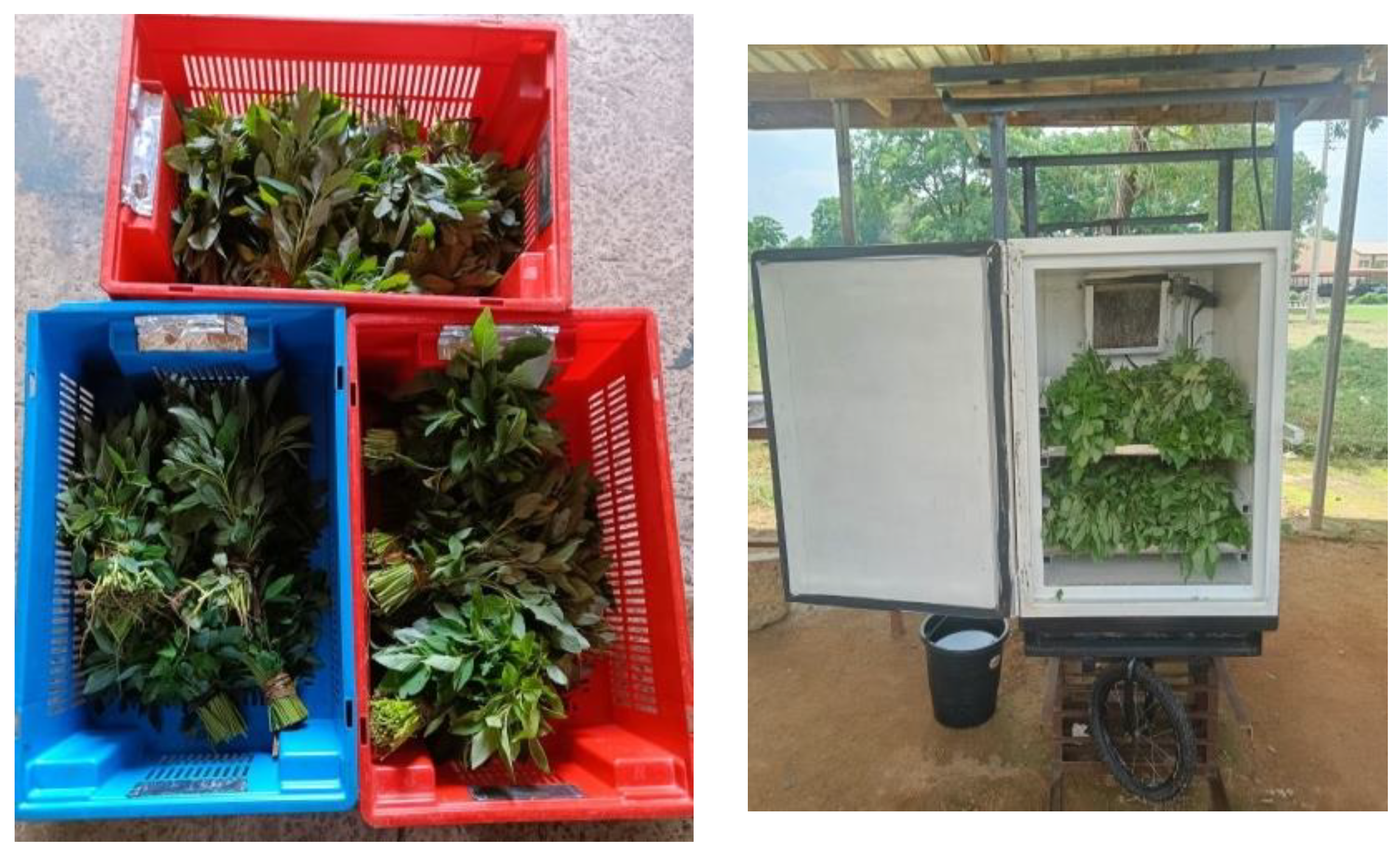 Preprints 142712 g003