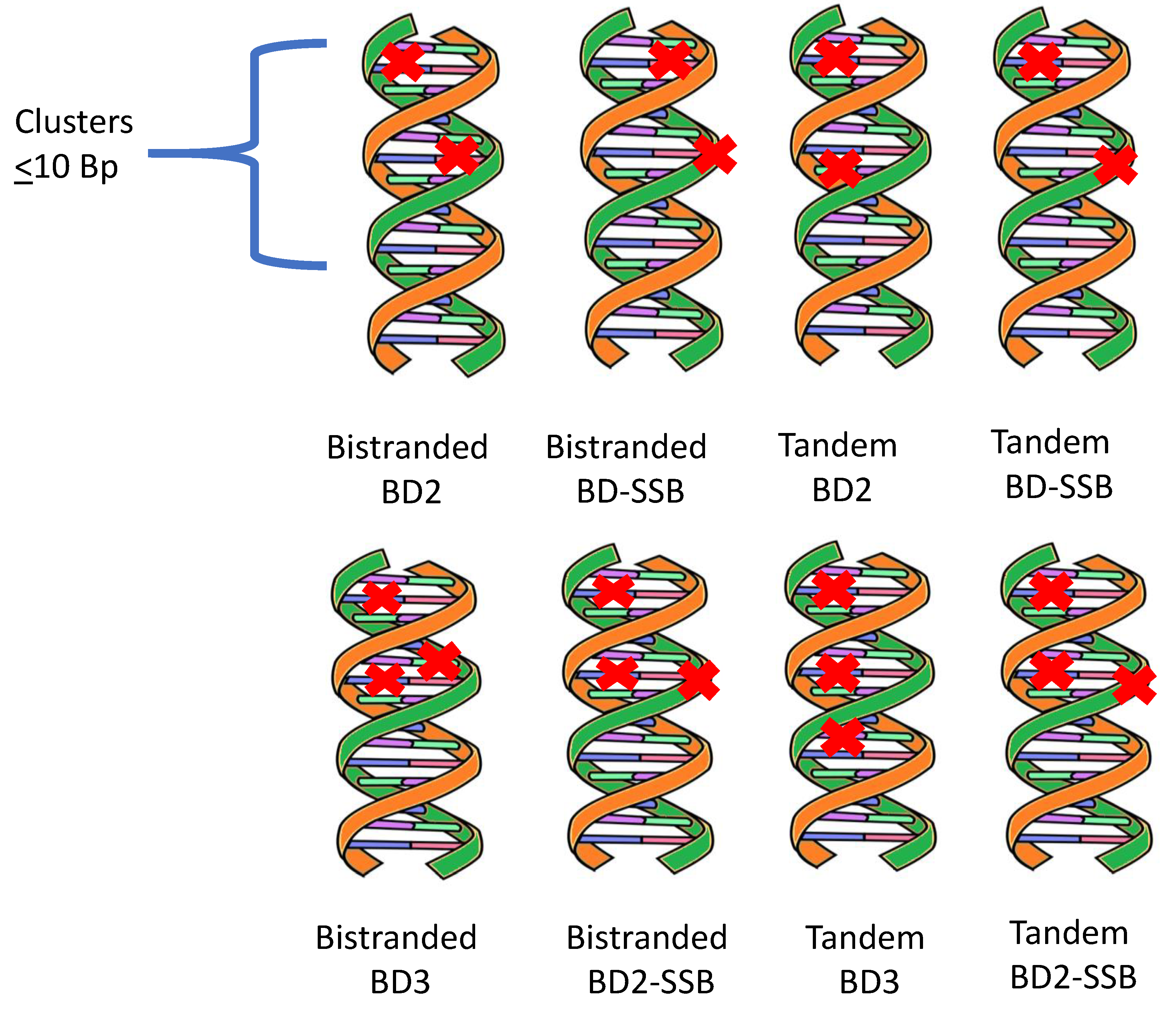 Preprints 184786 g001