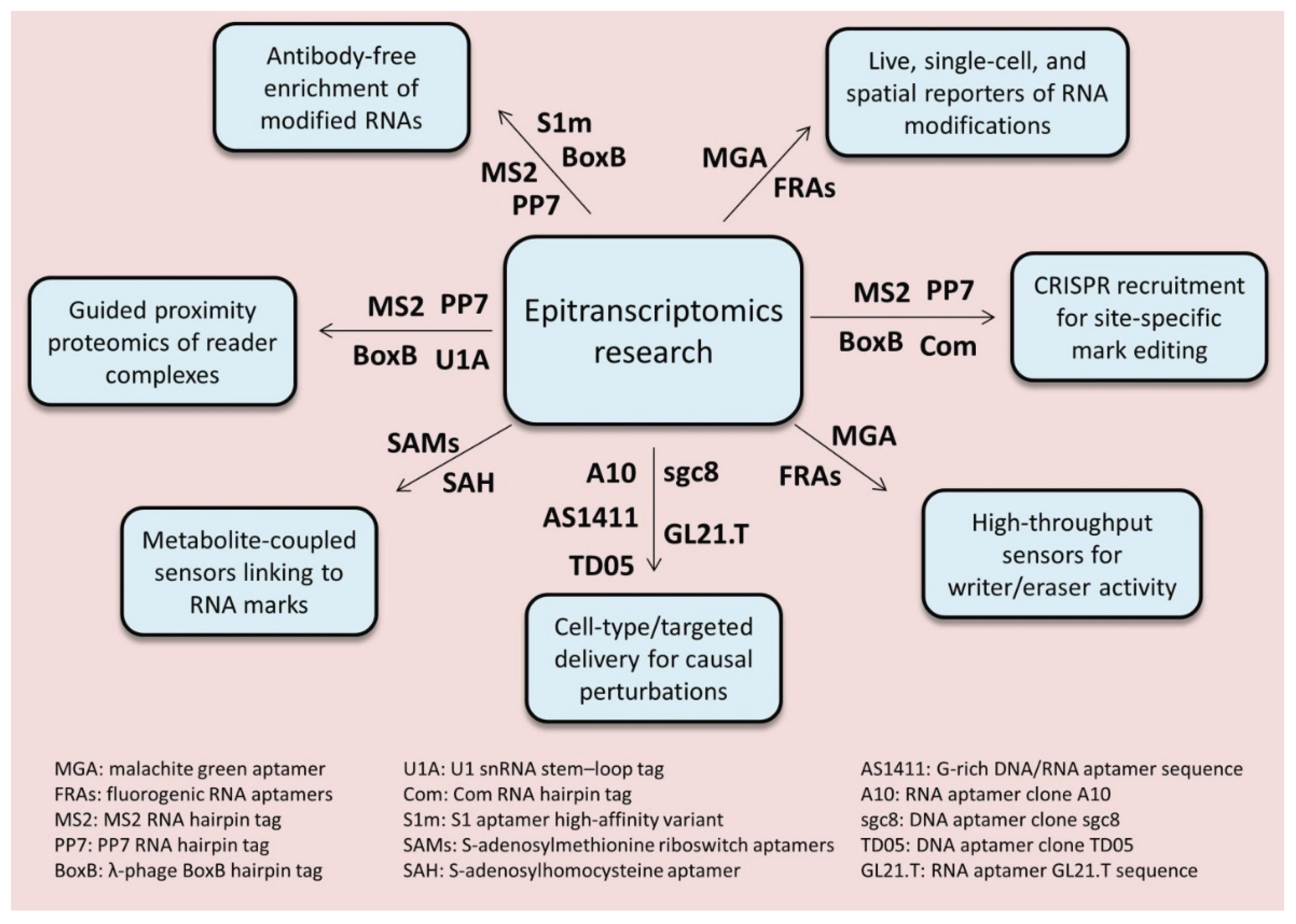Preprints 177491 g002