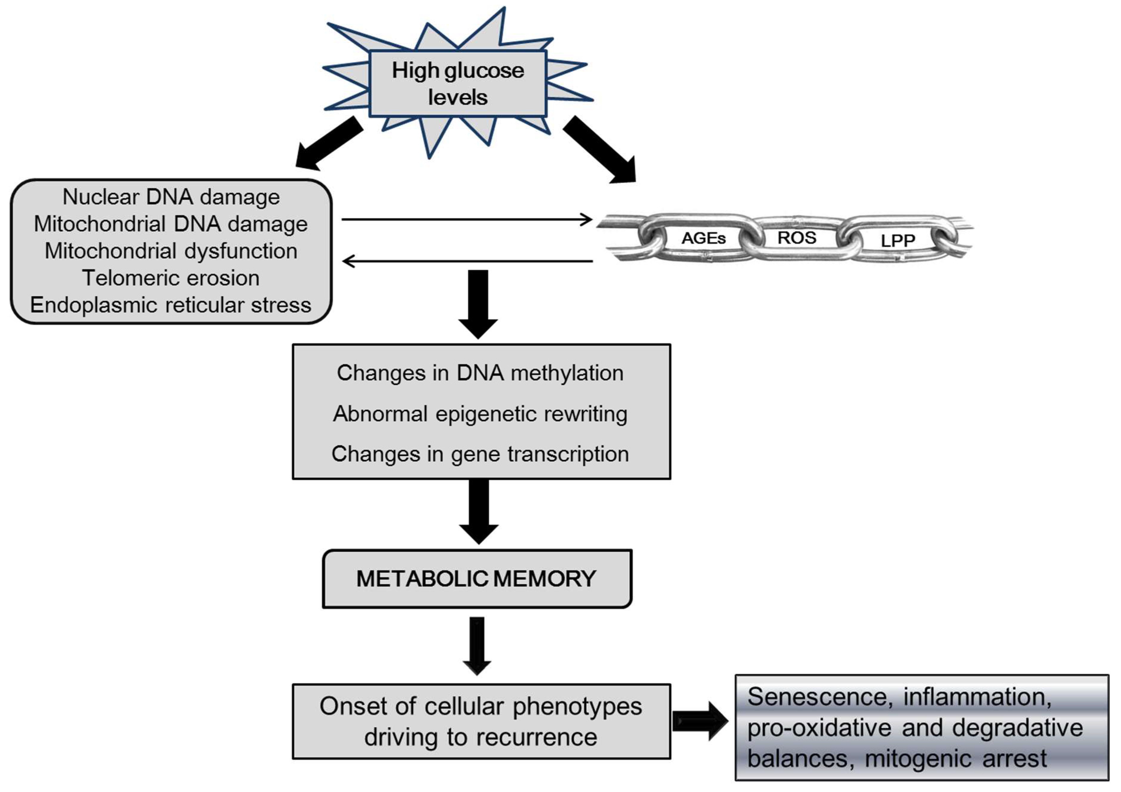 Preprints 72185 g001
