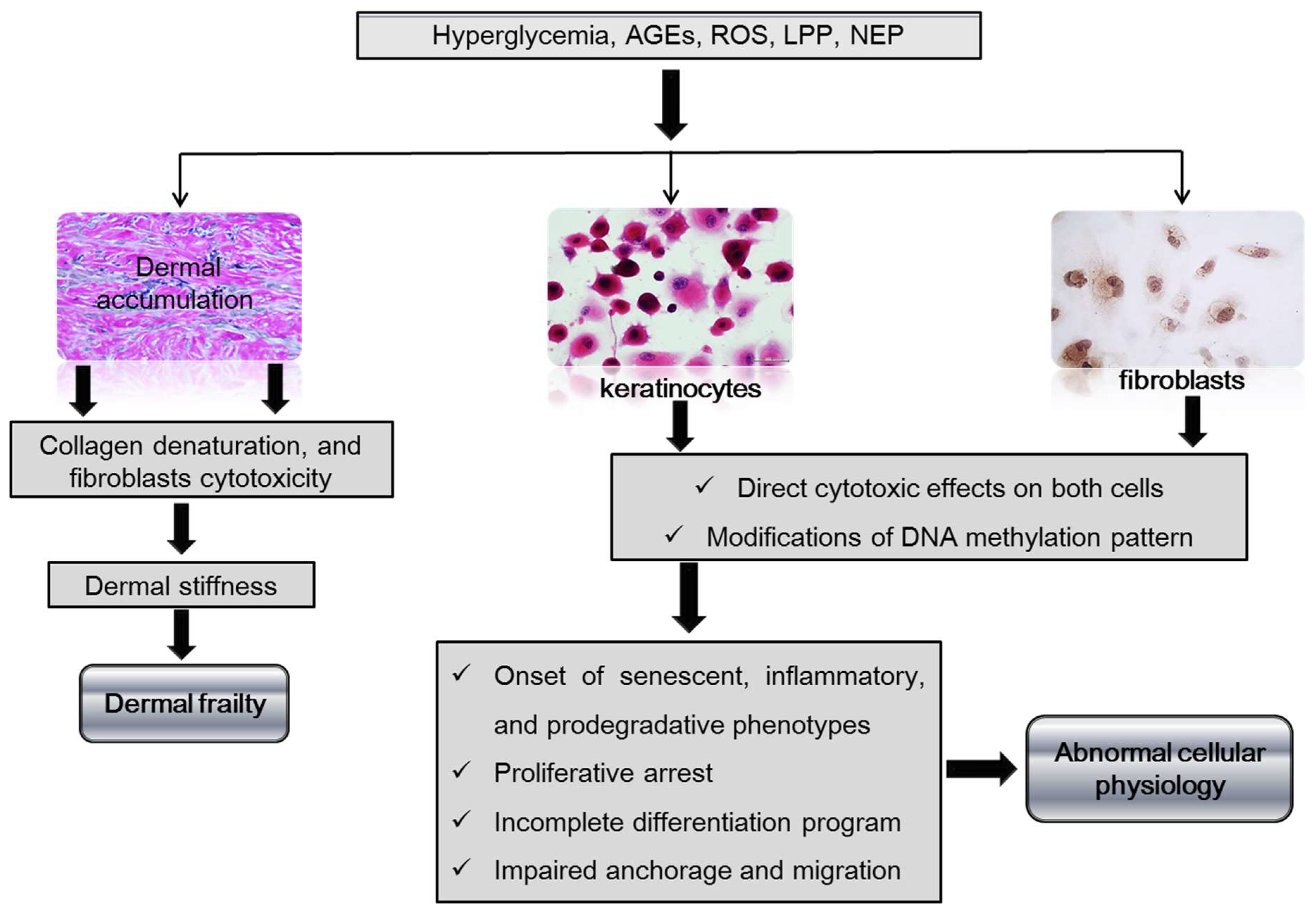 Preprints 72185 g002