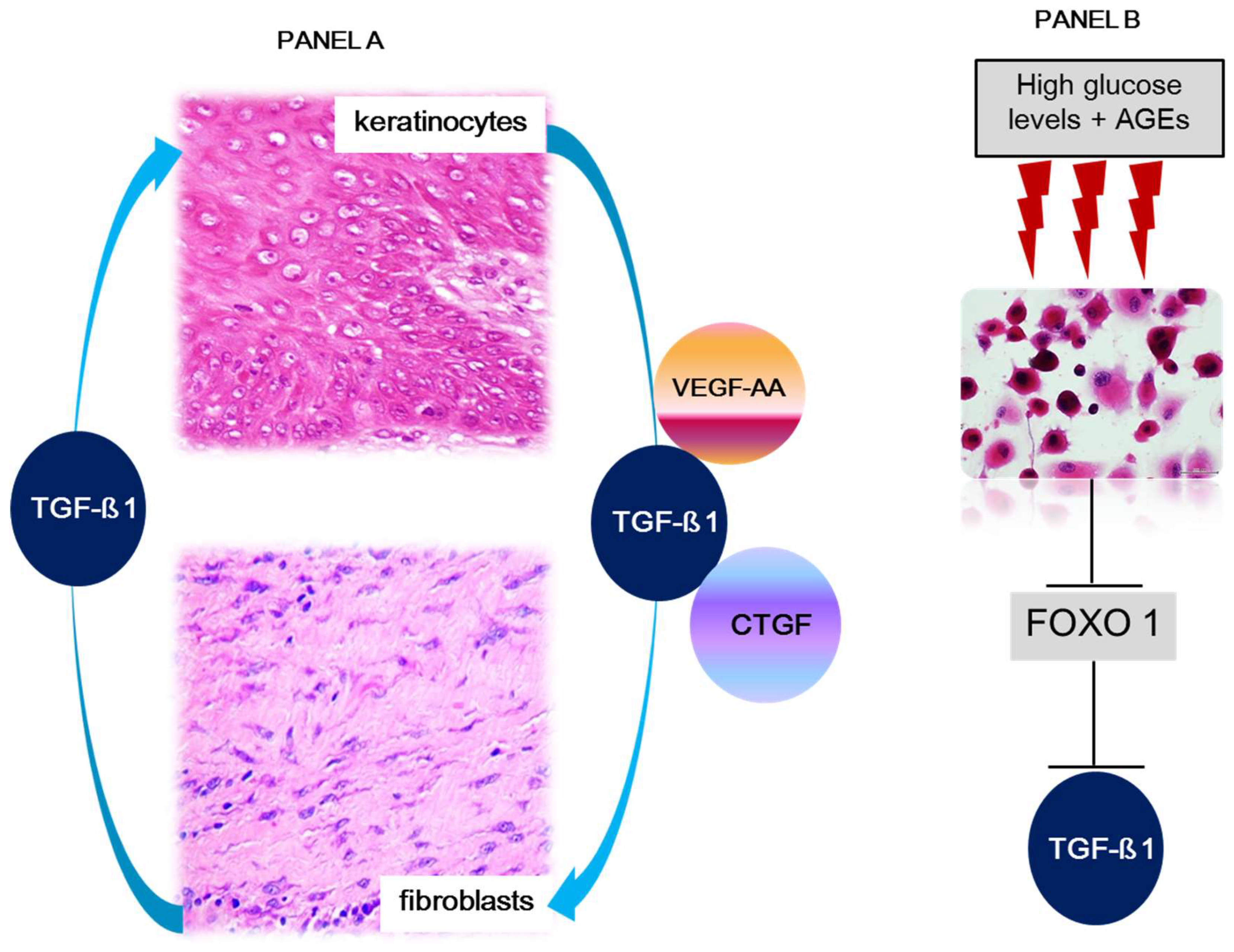 Preprints 72185 g003