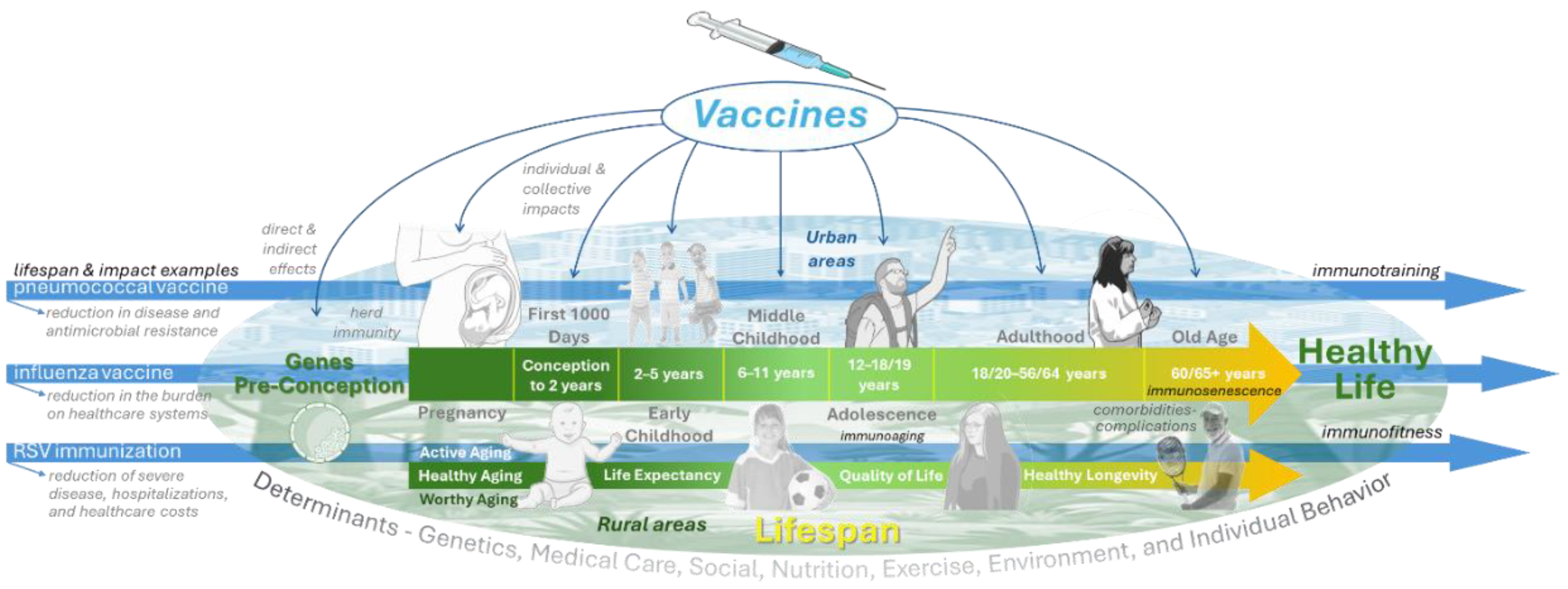 Preprints 194830 g001