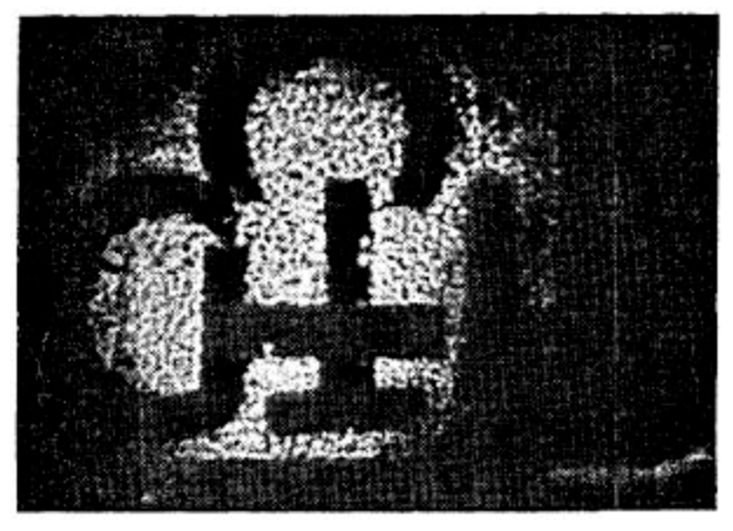 Preprints 162587 g006