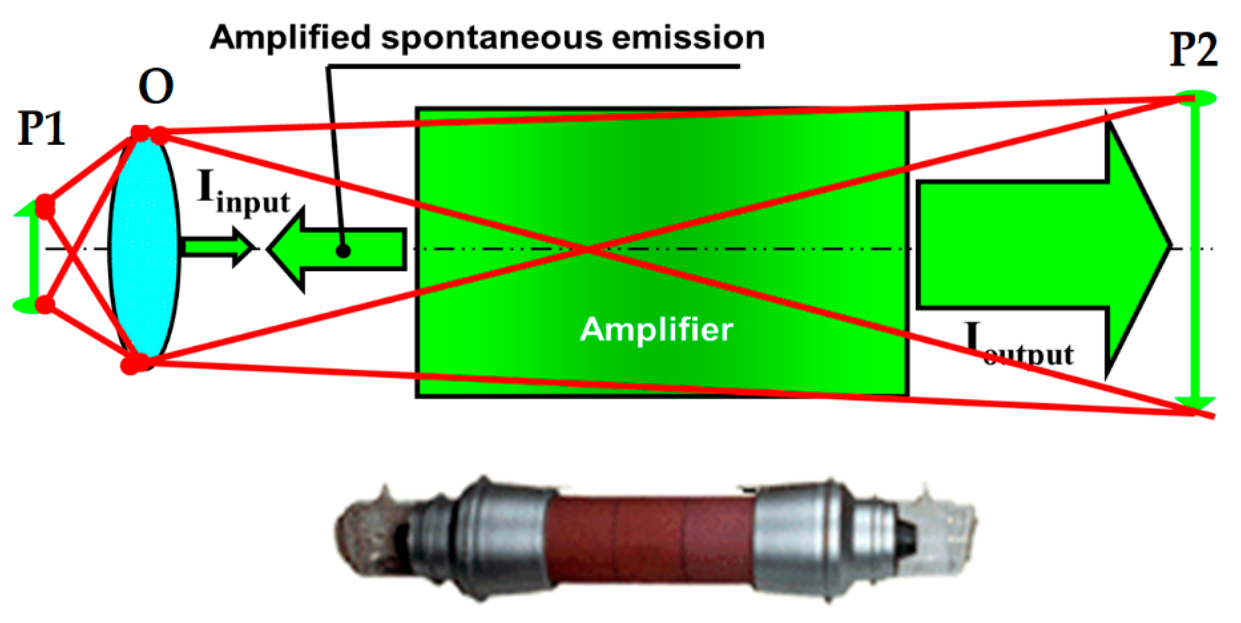 Preprints 162587 g008
