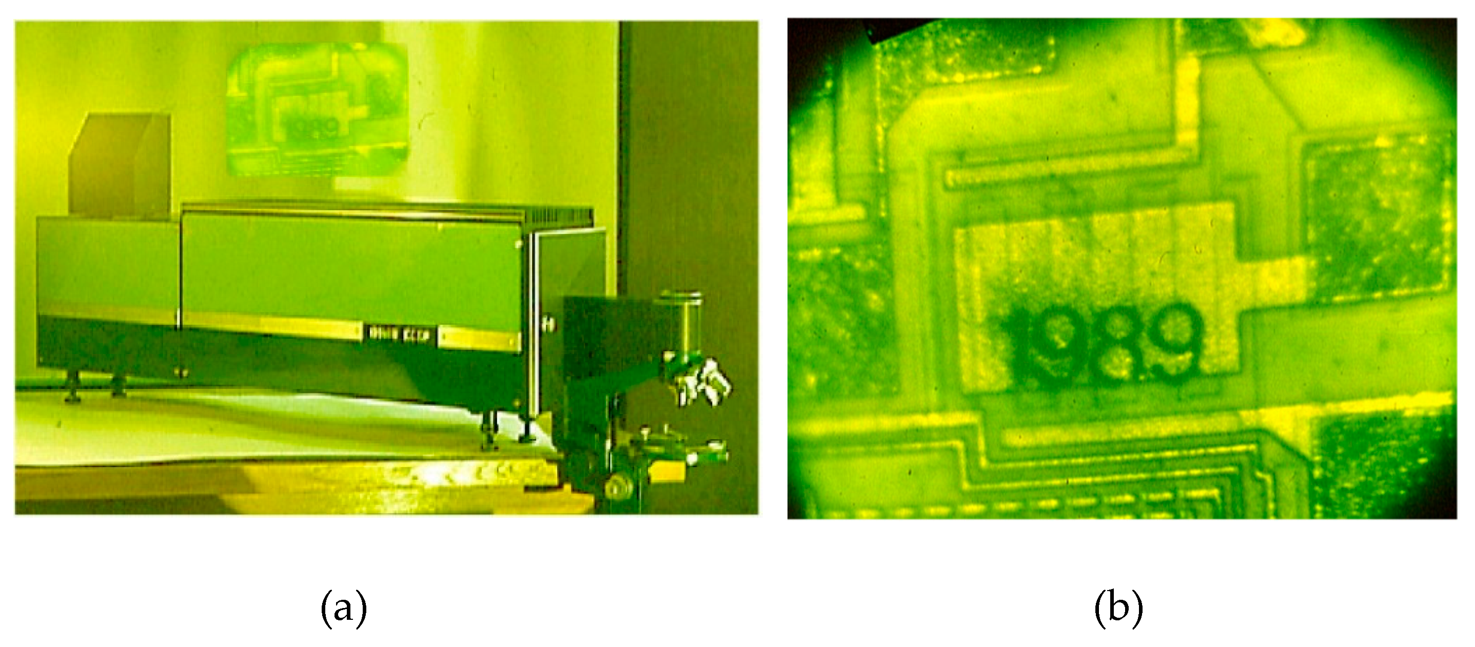 Preprints 162587 g011