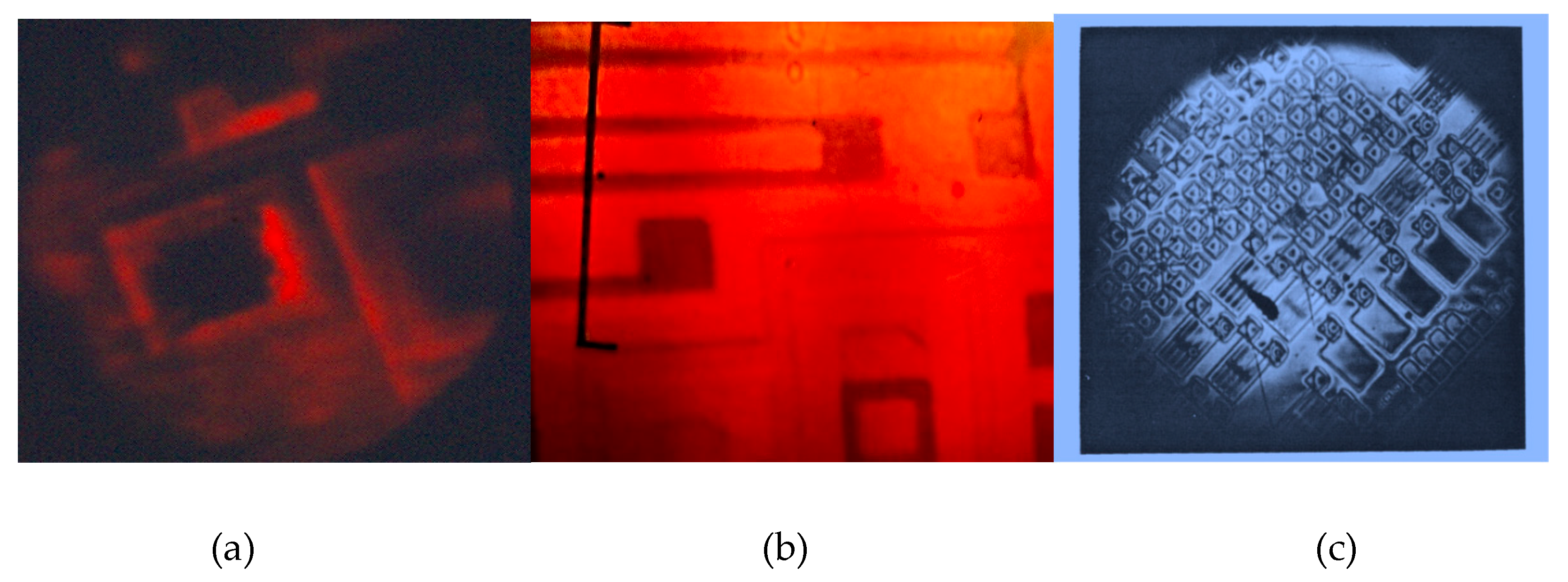 Preprints 162587 g012