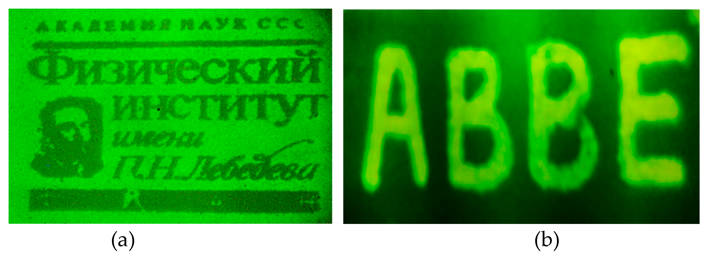 Preprints 162587 g013