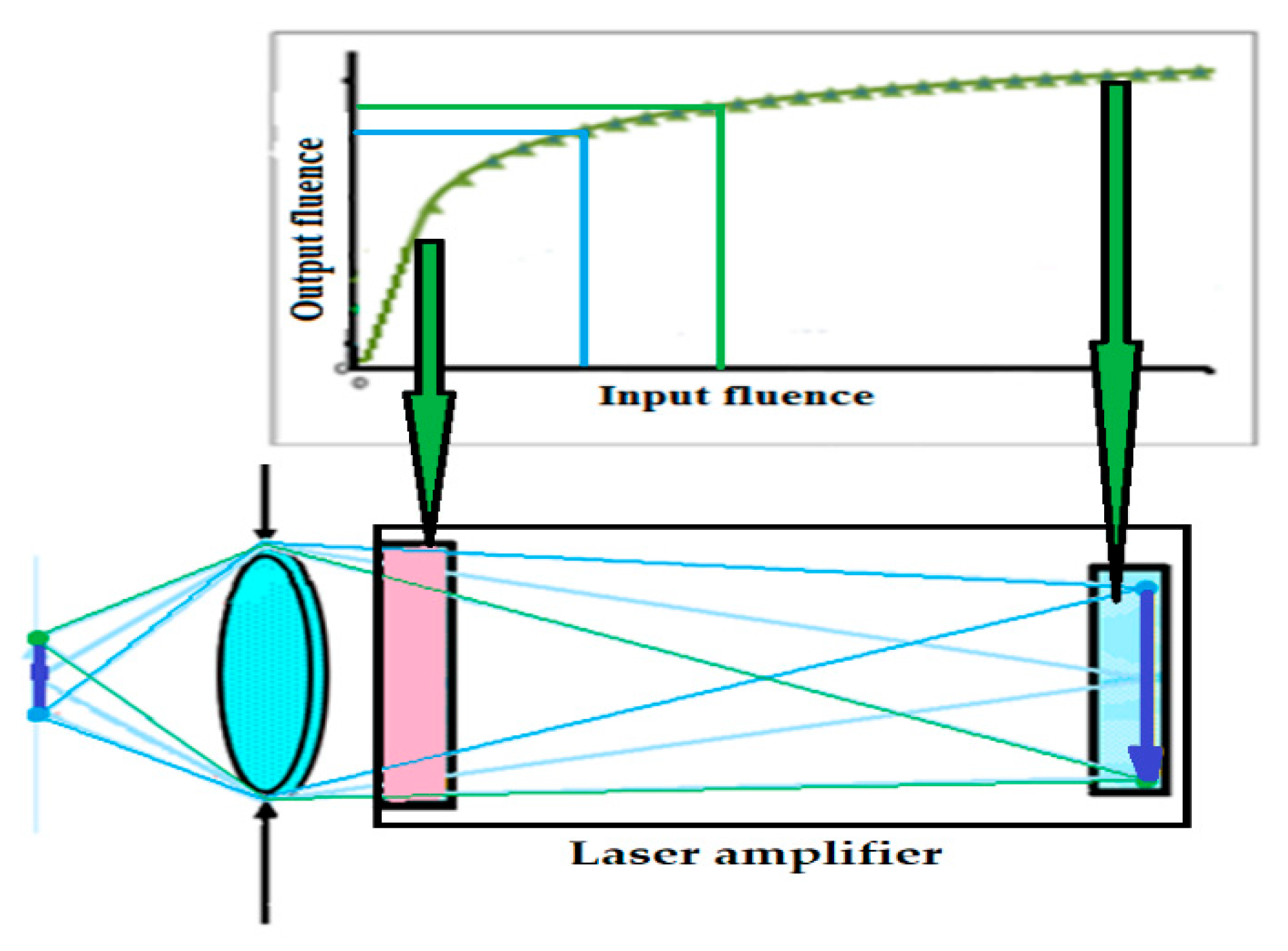 Preprints 162587 g015