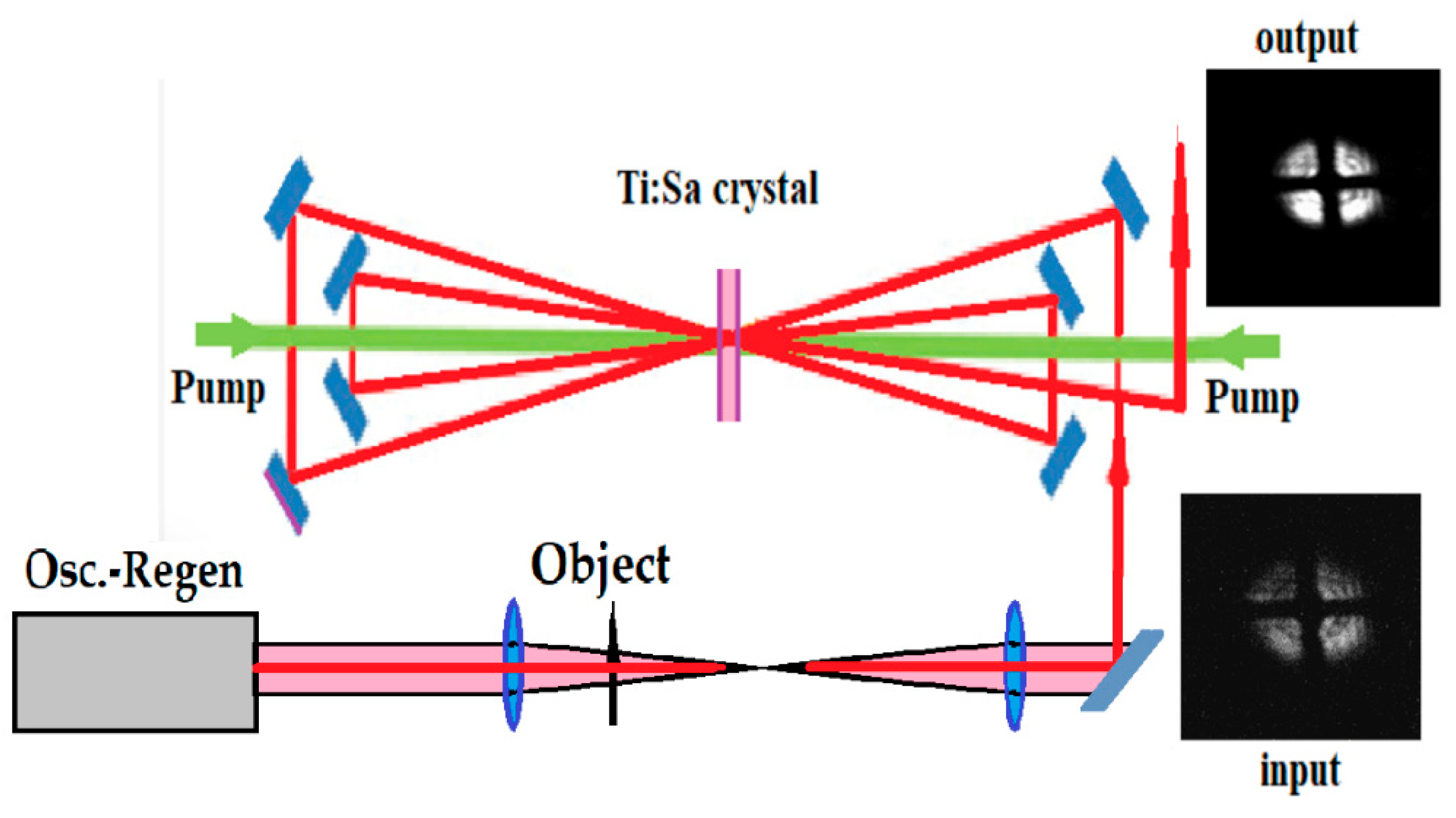 Preprints 162587 g018