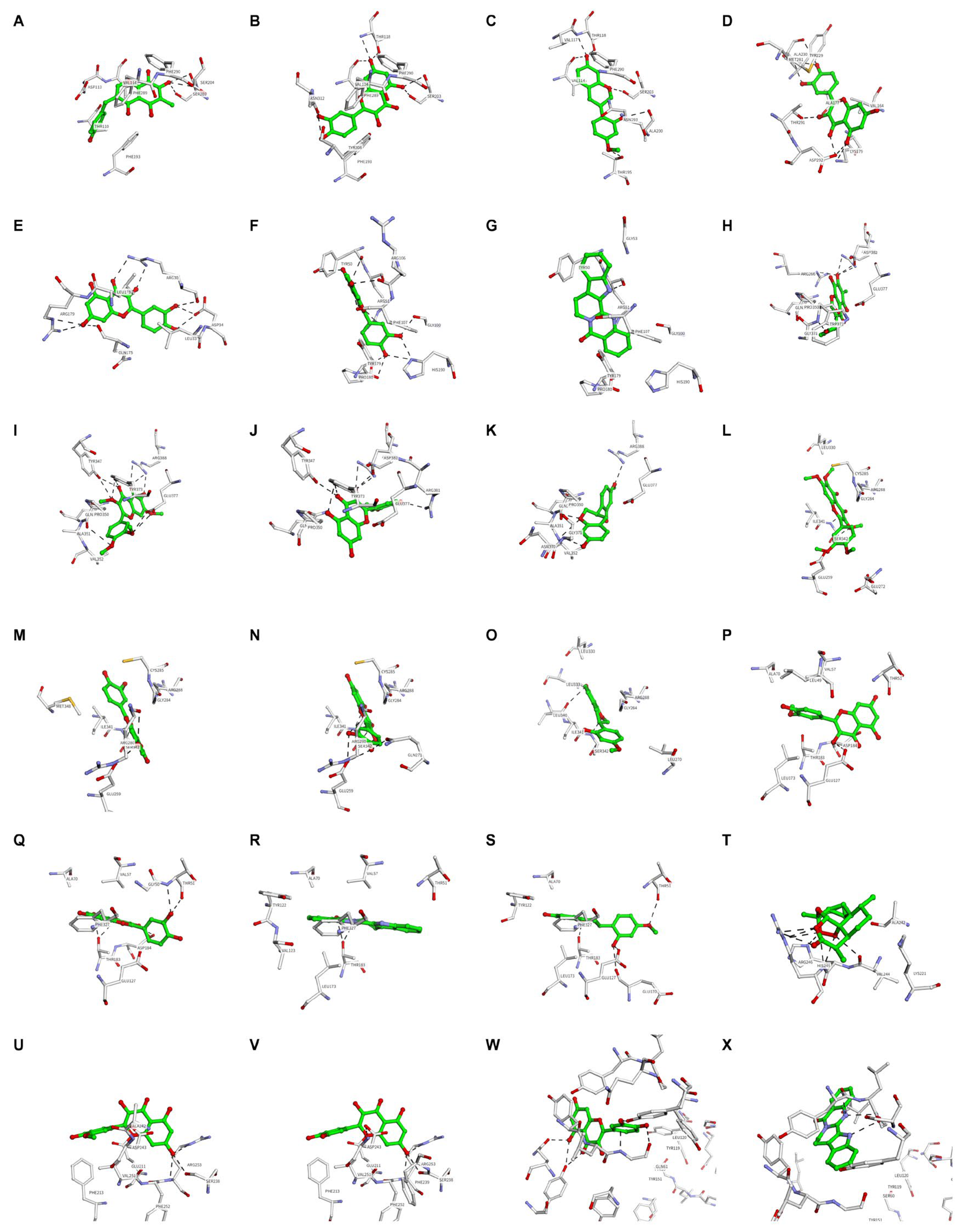 Preprints 238055 g005 Preprints 238055 g005