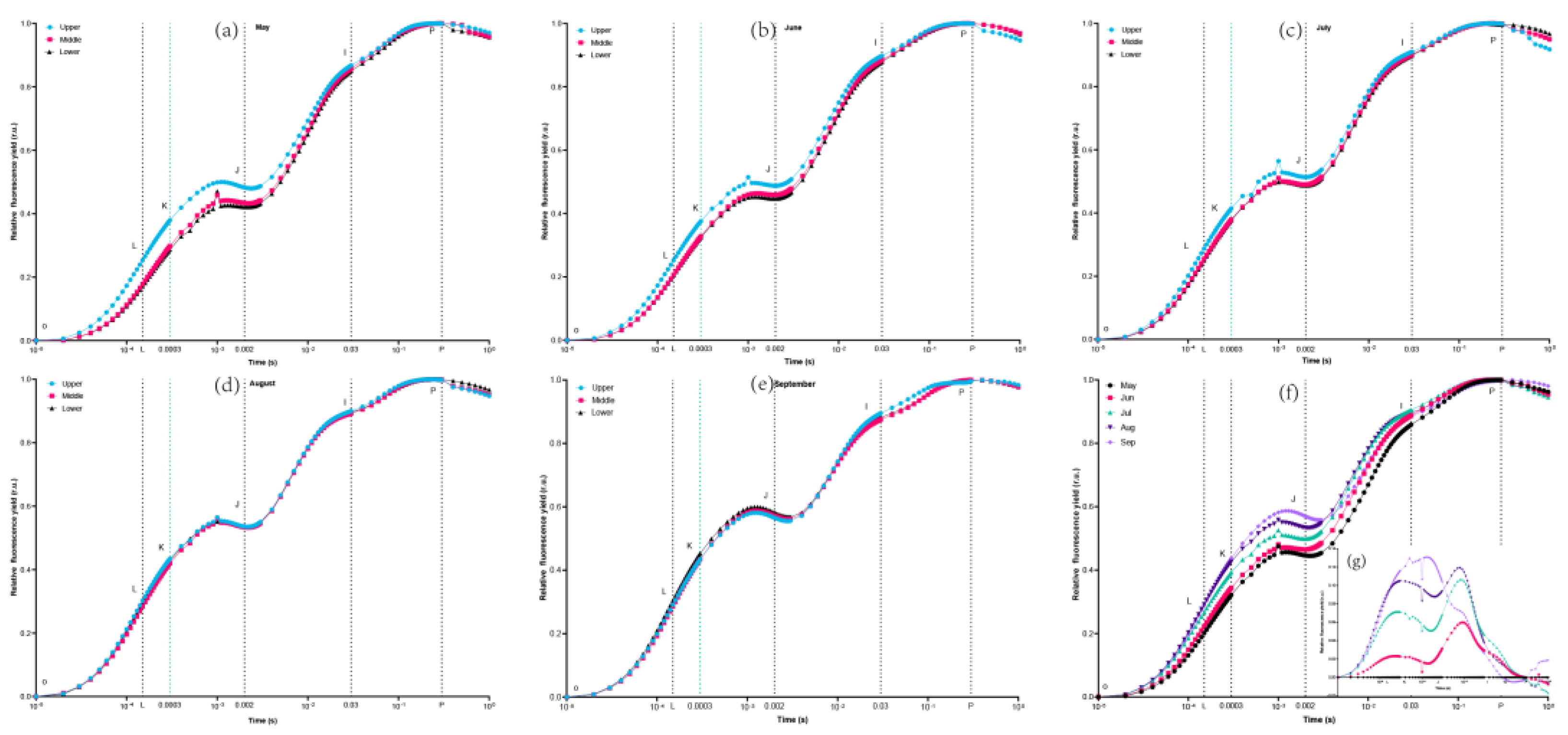 Preprints 175156 g004
