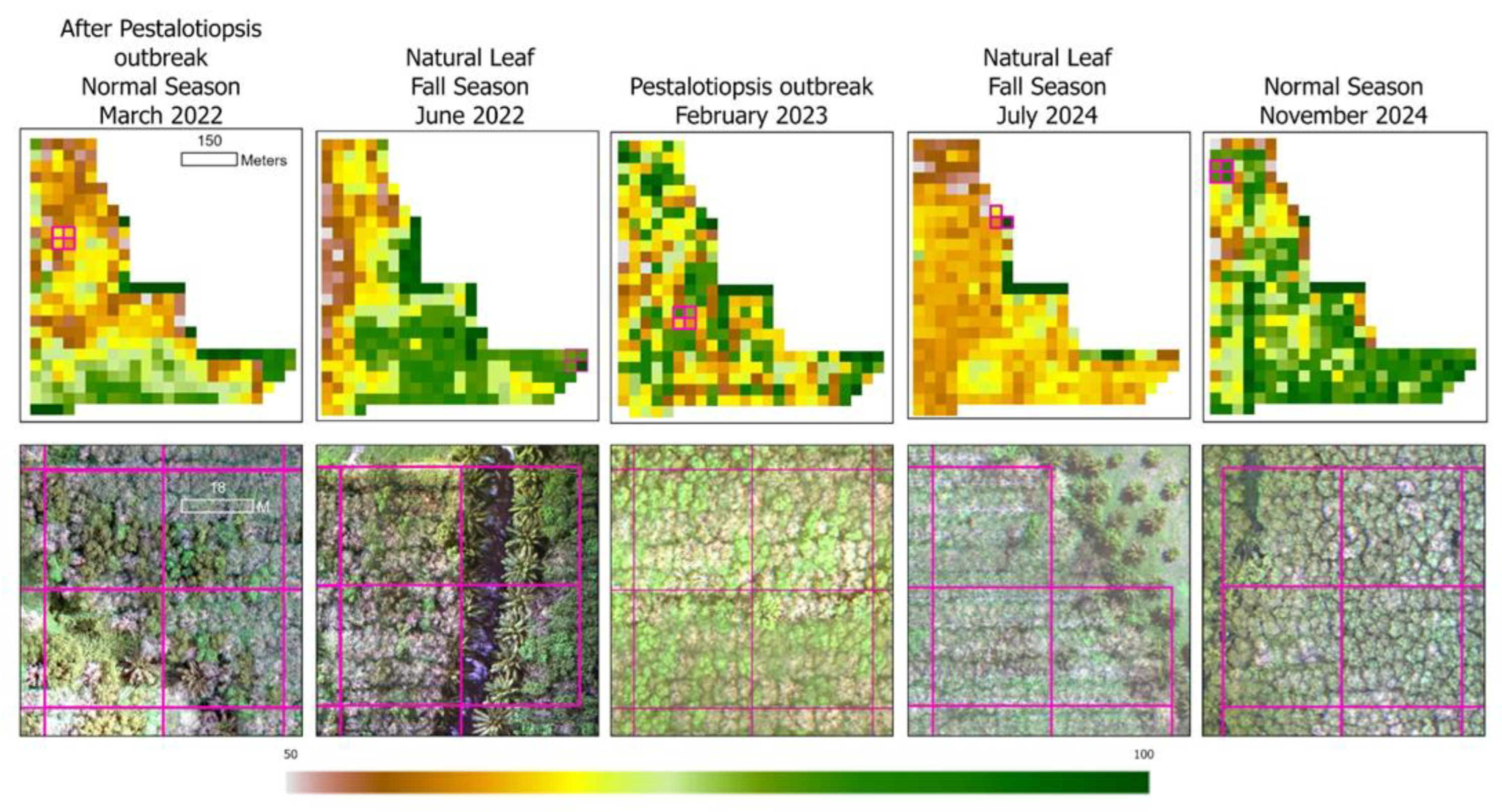 Preprints 153086 g006