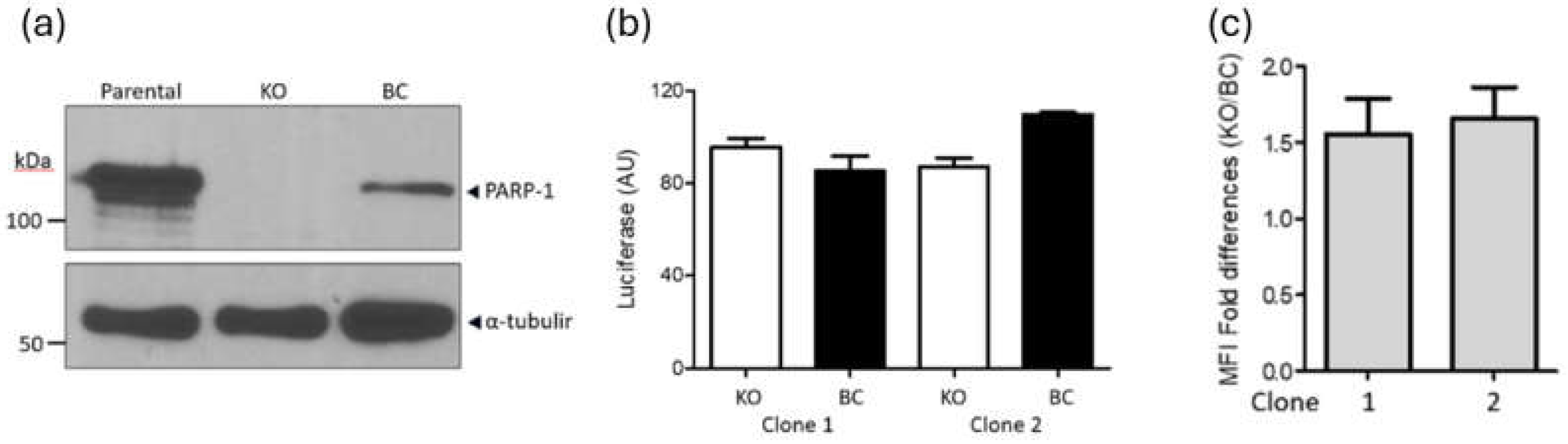 Preprints 151958 g001