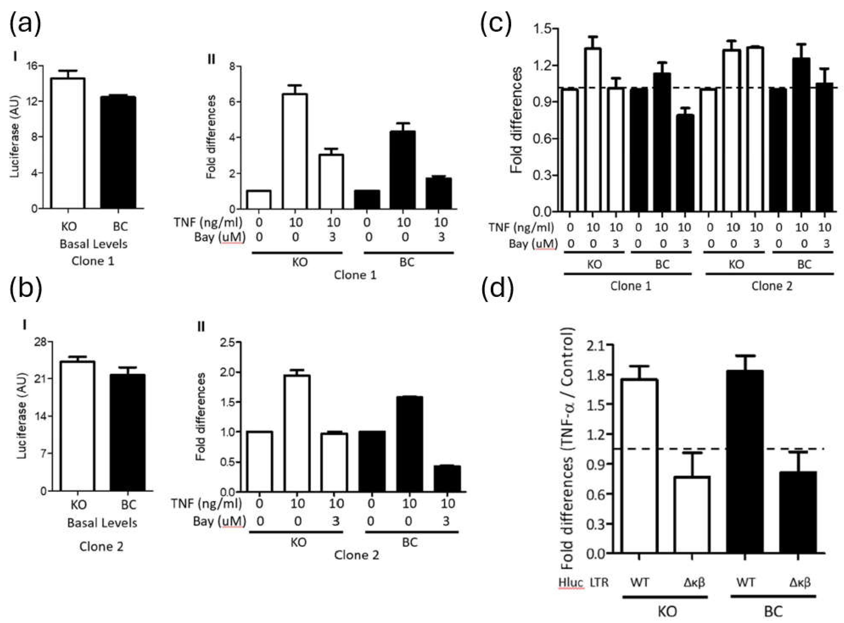 Preprints 151958 g003