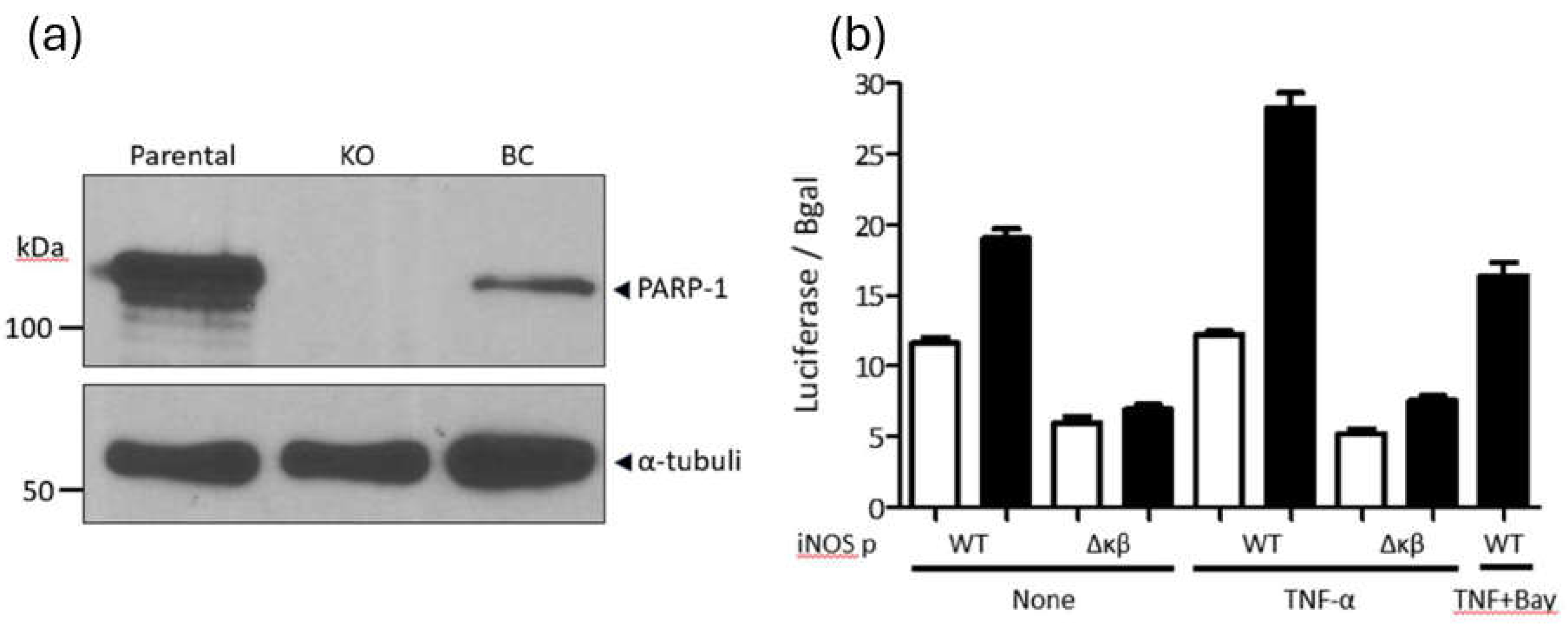 Preprints 151958 g004