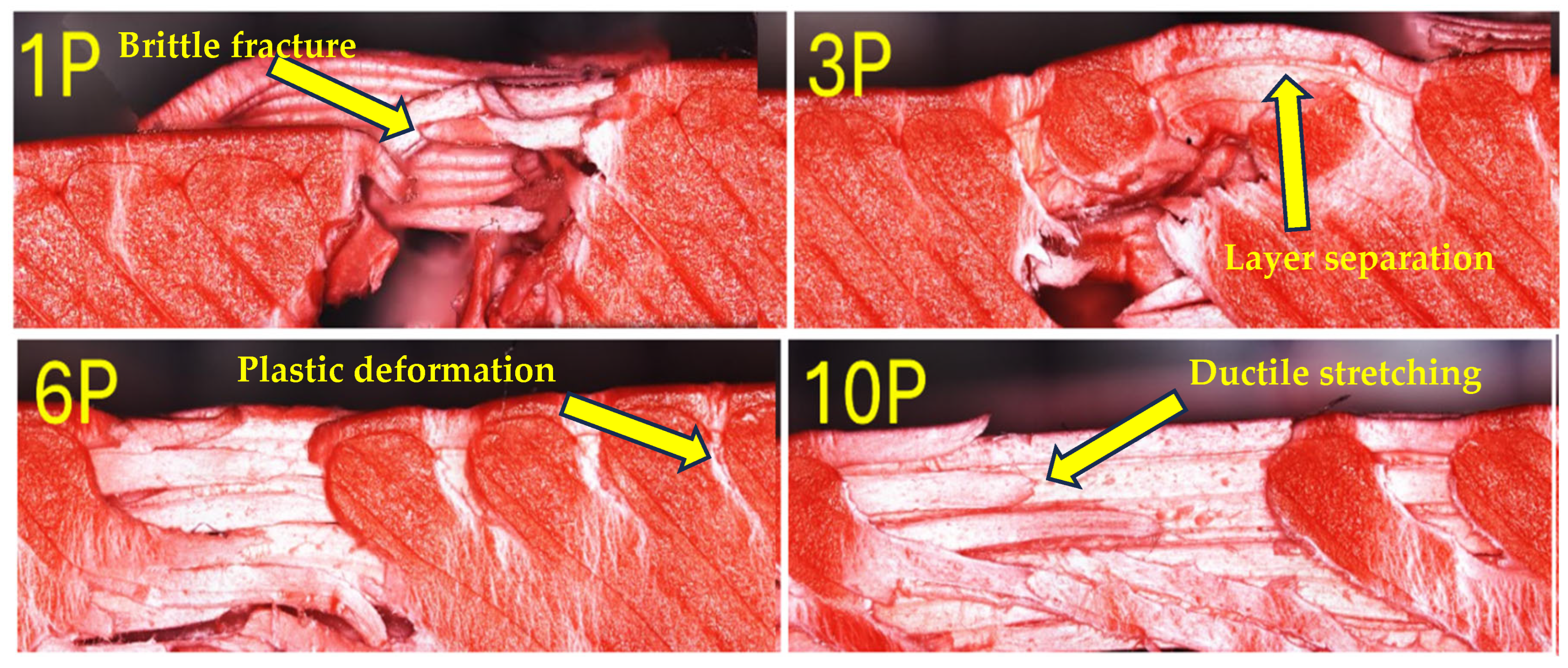 Preprints 162493 g013