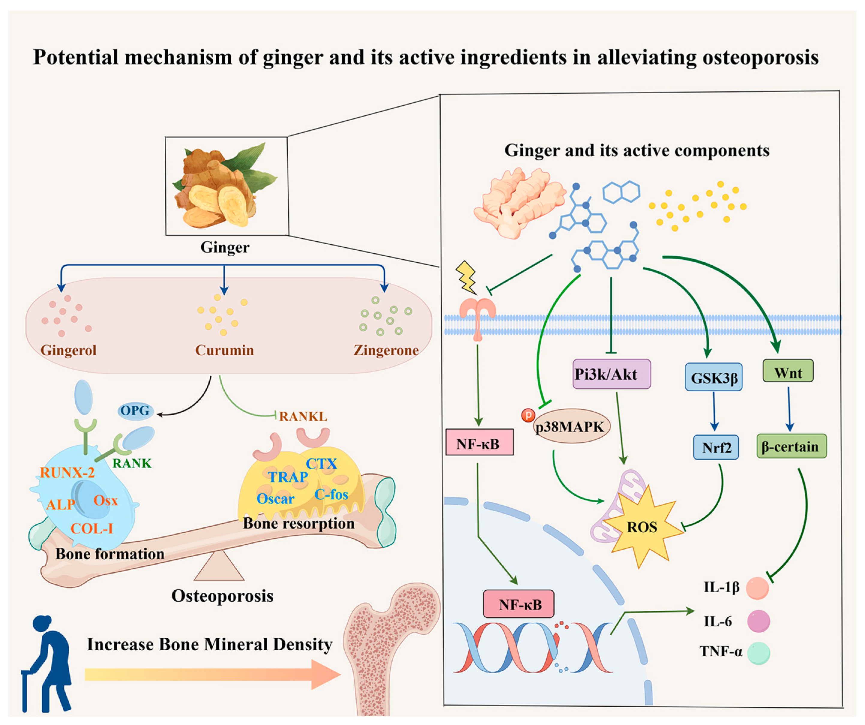 Preprints 143456 g001