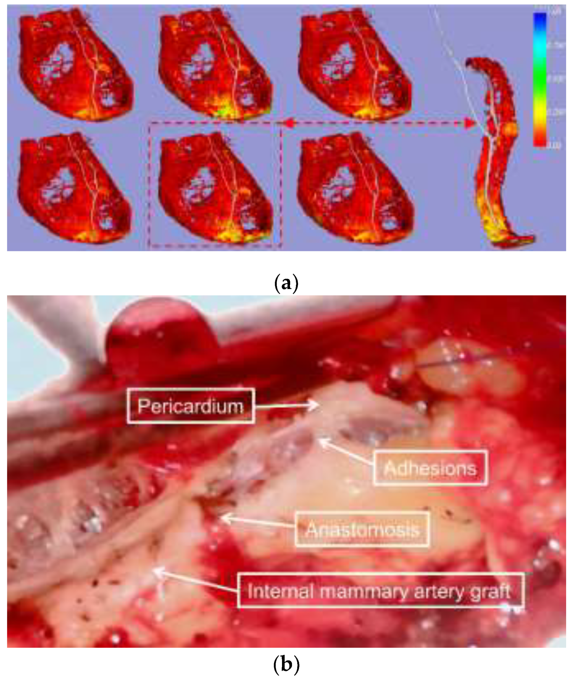 Preprints 146559 g004