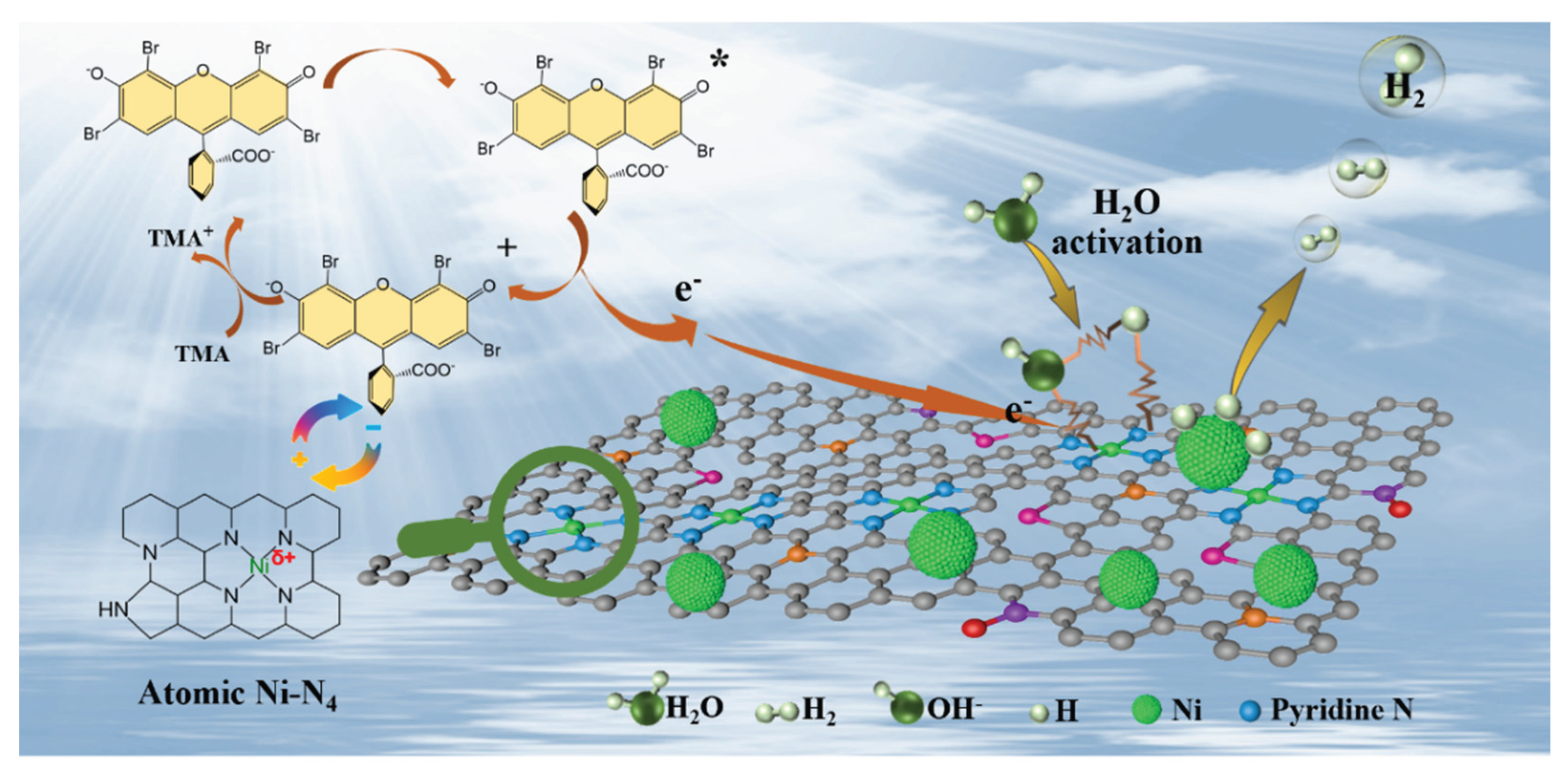 Preprints 189958 g007