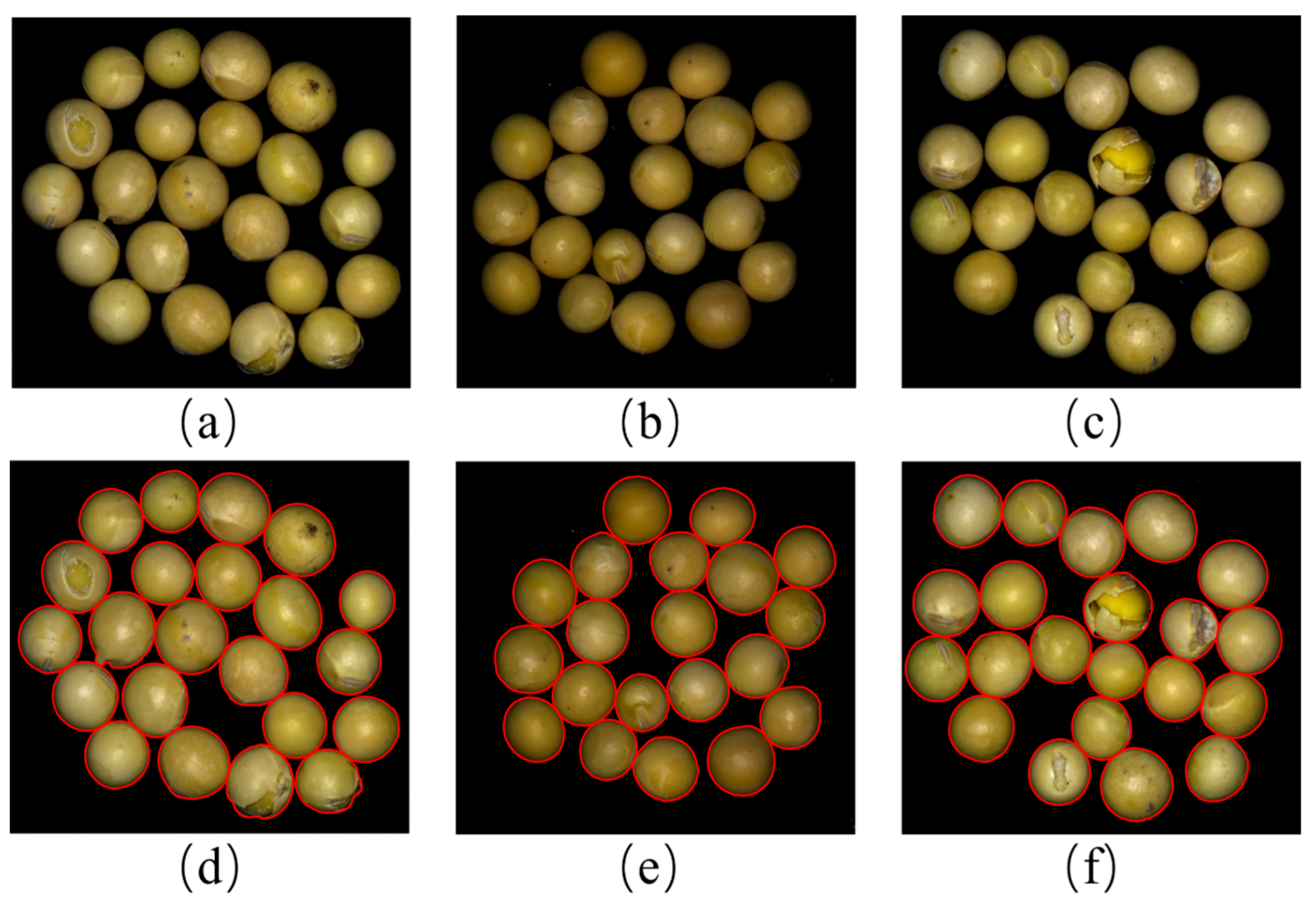 Preprints 173591 g007