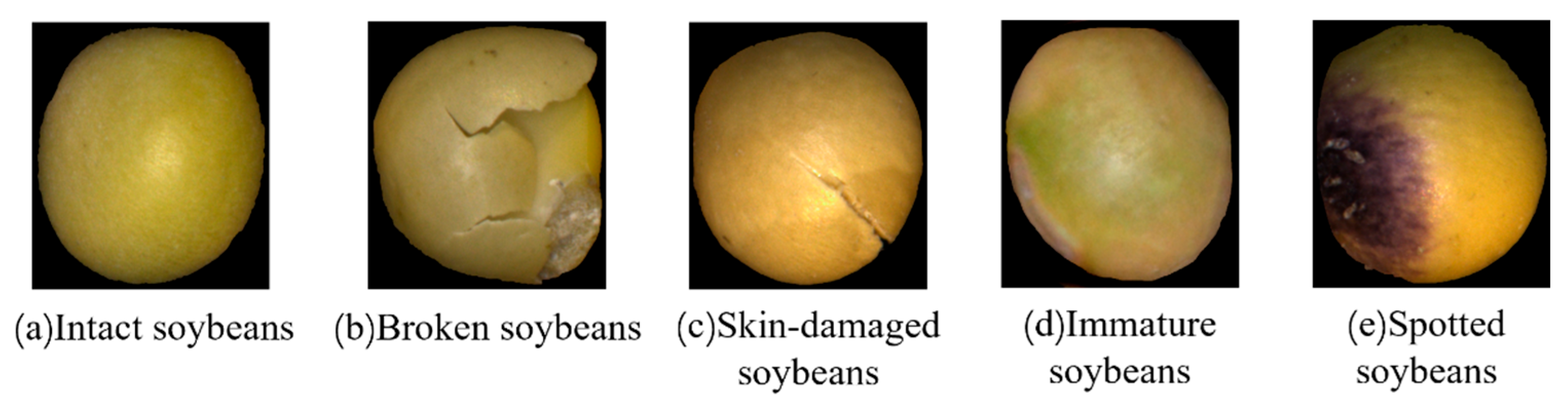 Preprints 173591 g008