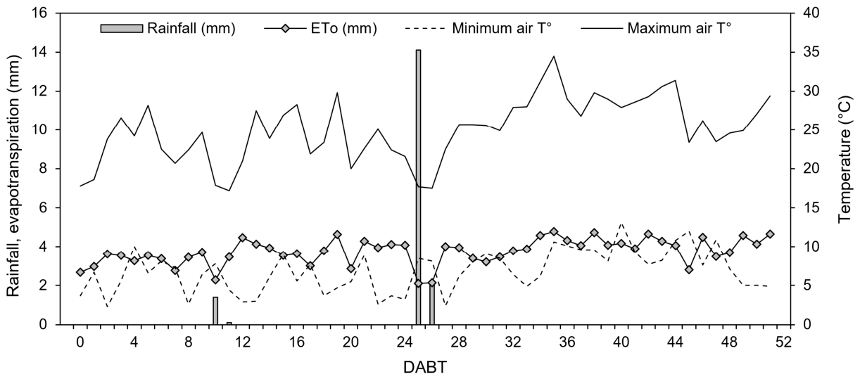 Preprints 230298 g001