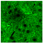 Preprints 230298 i003