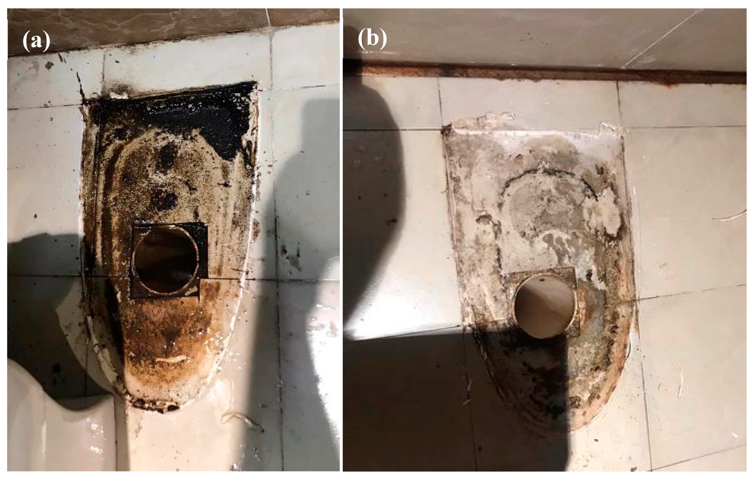 Preprints 139290 g001