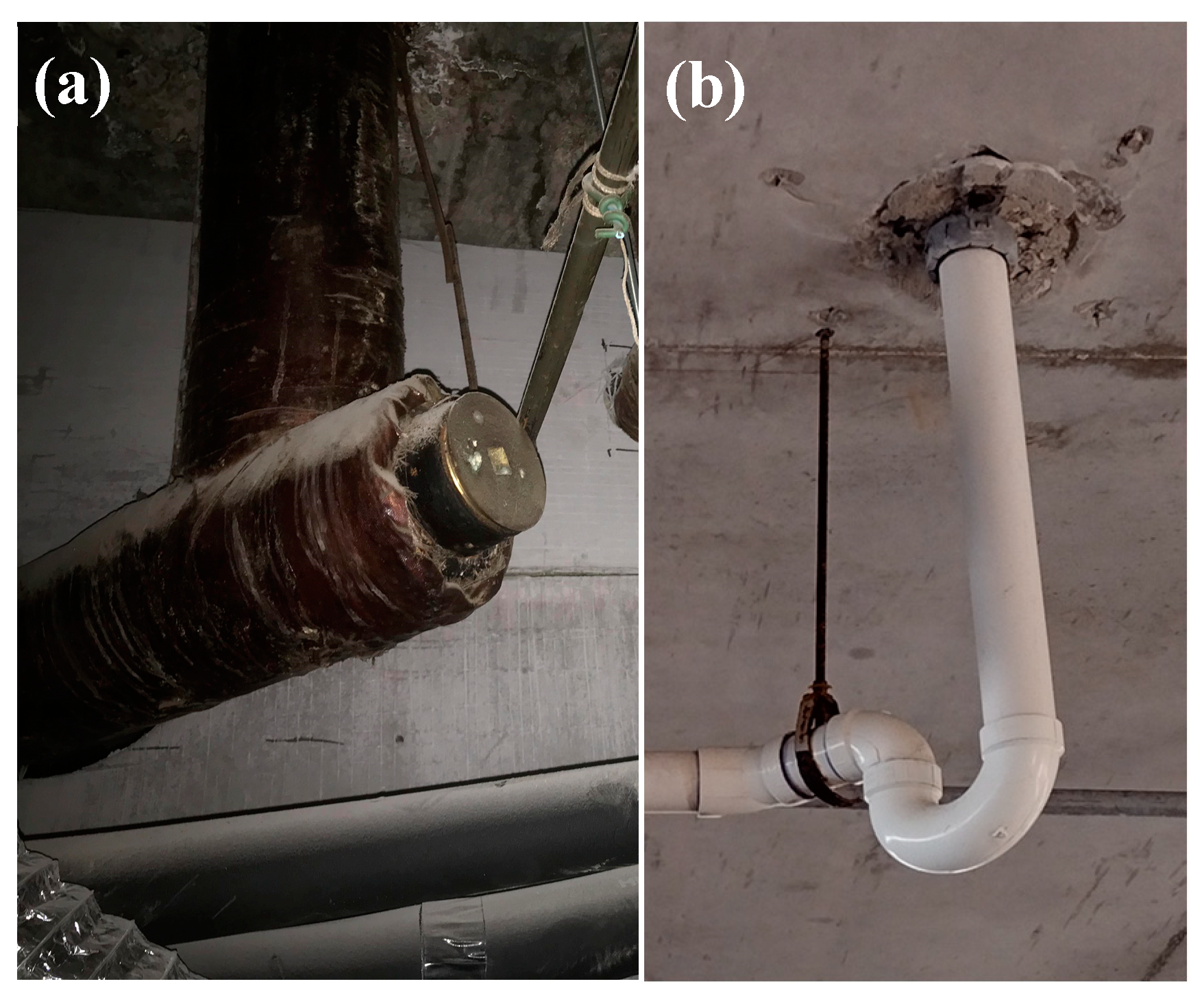 Preprints 139290 g004