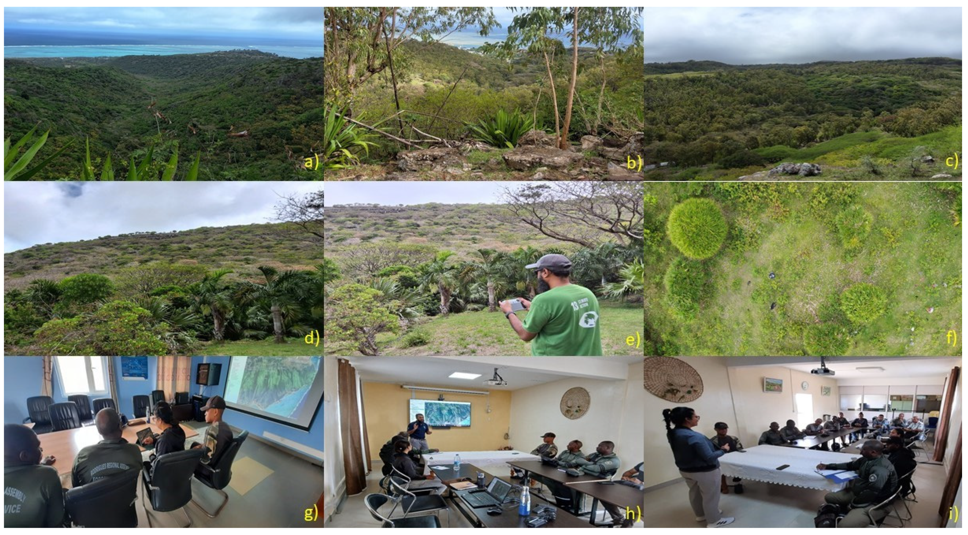 Preprints 177299 g002