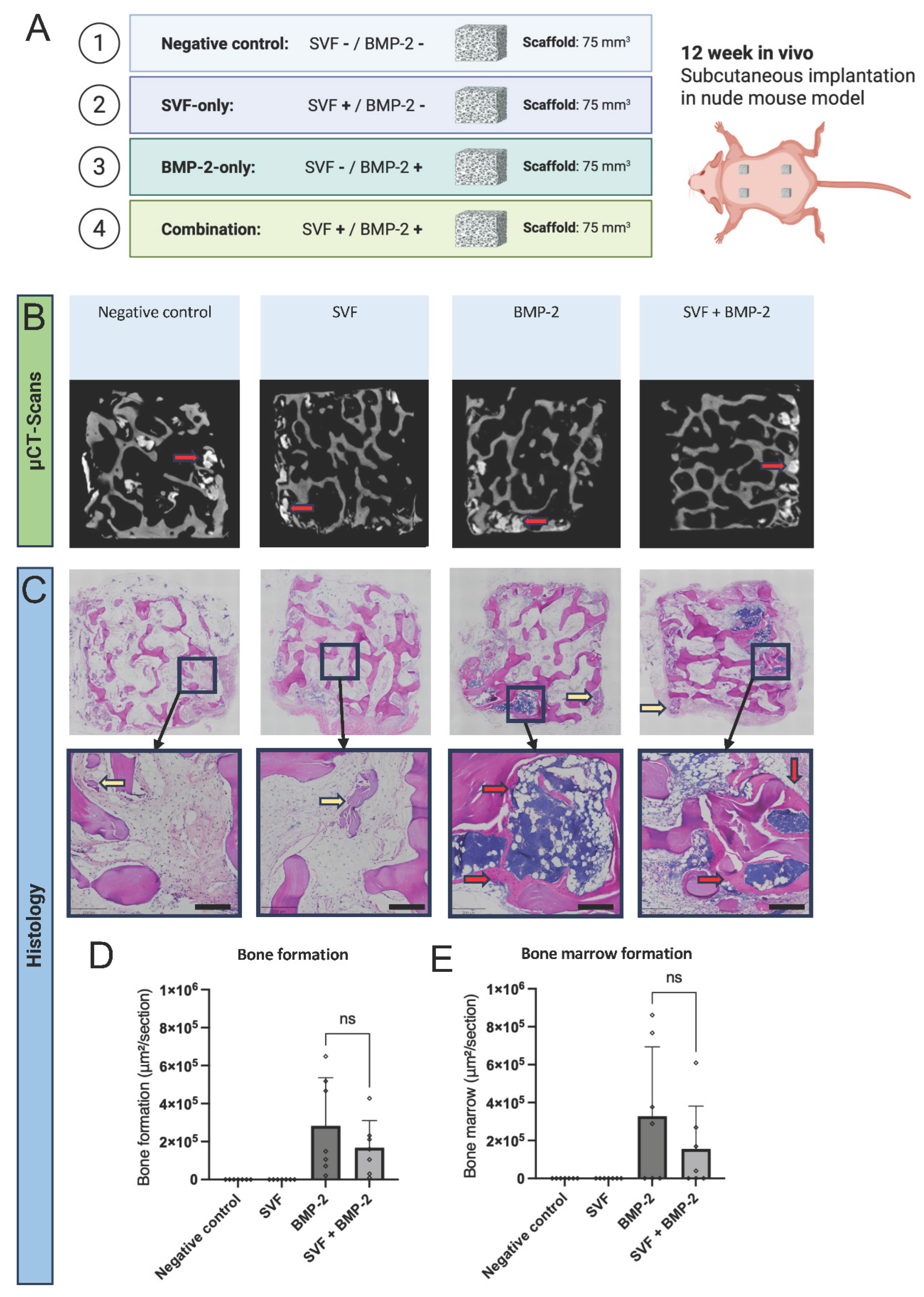 Preprints 233699 g001 Preprints 233699 g001