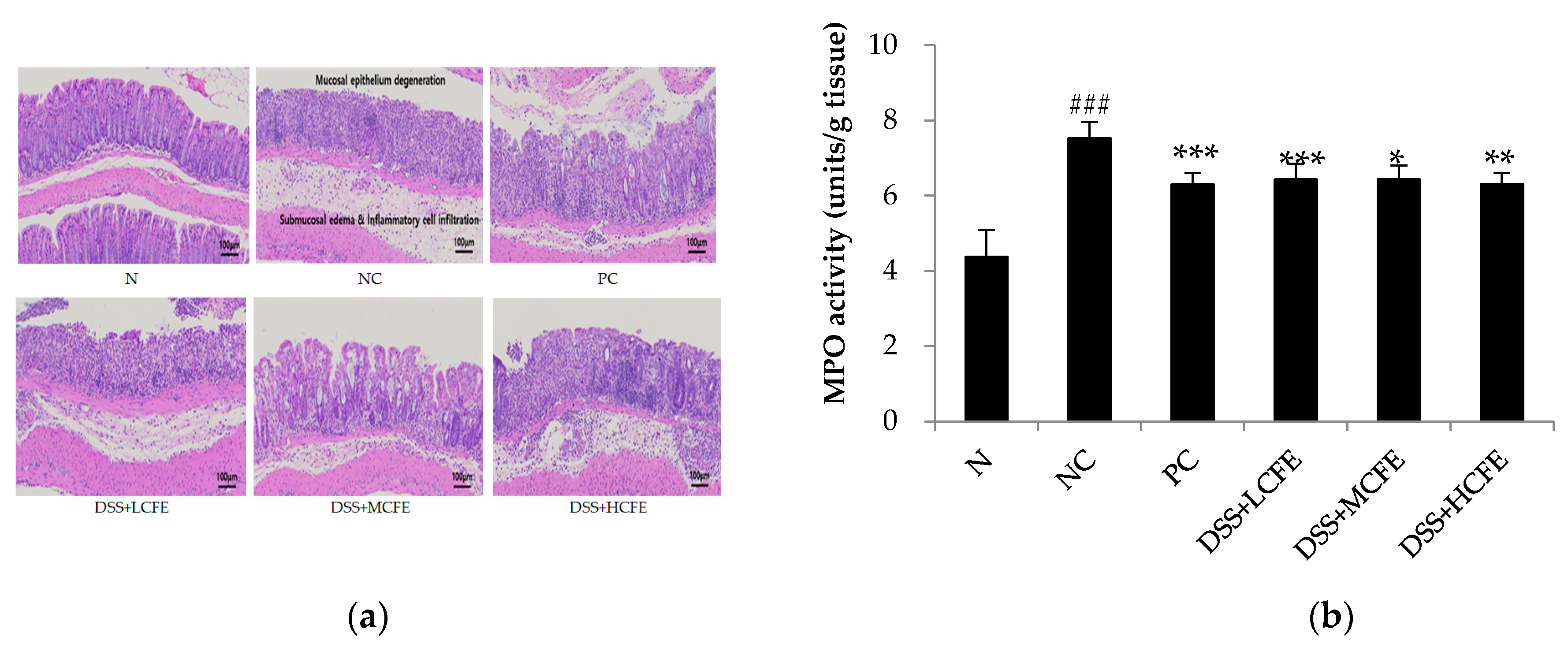 Preprints 99553 g004