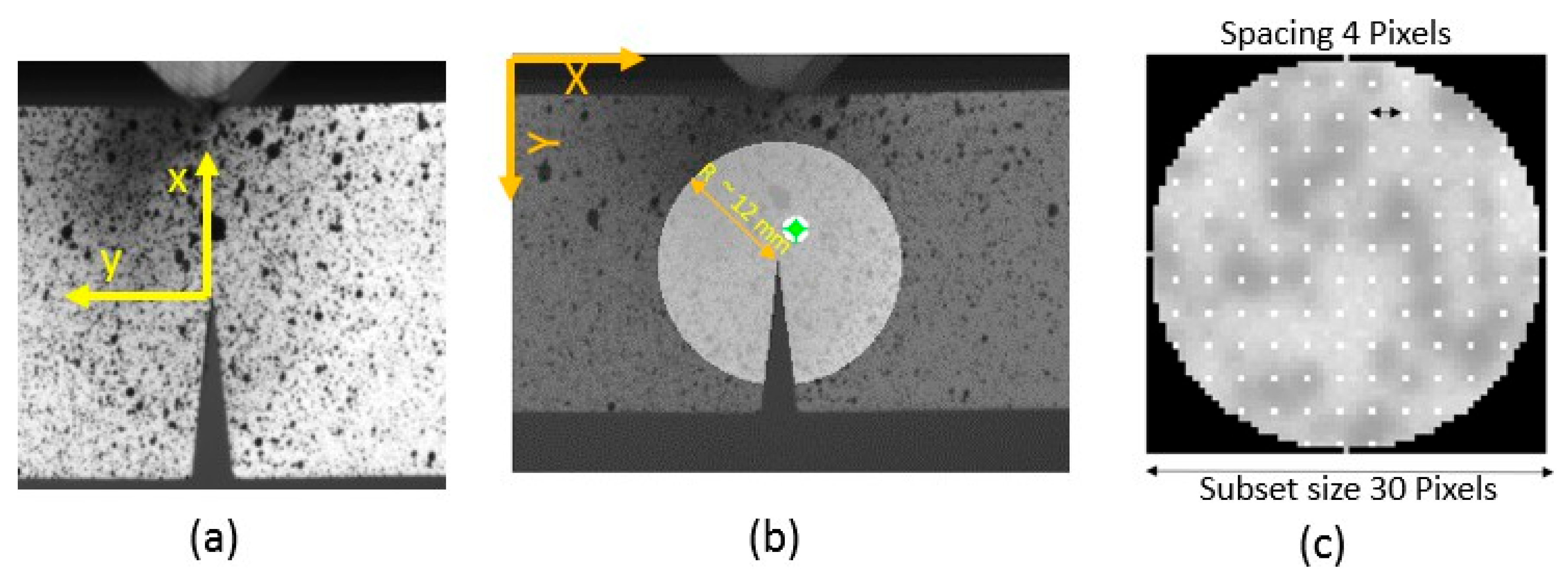Preprints 182653 g002