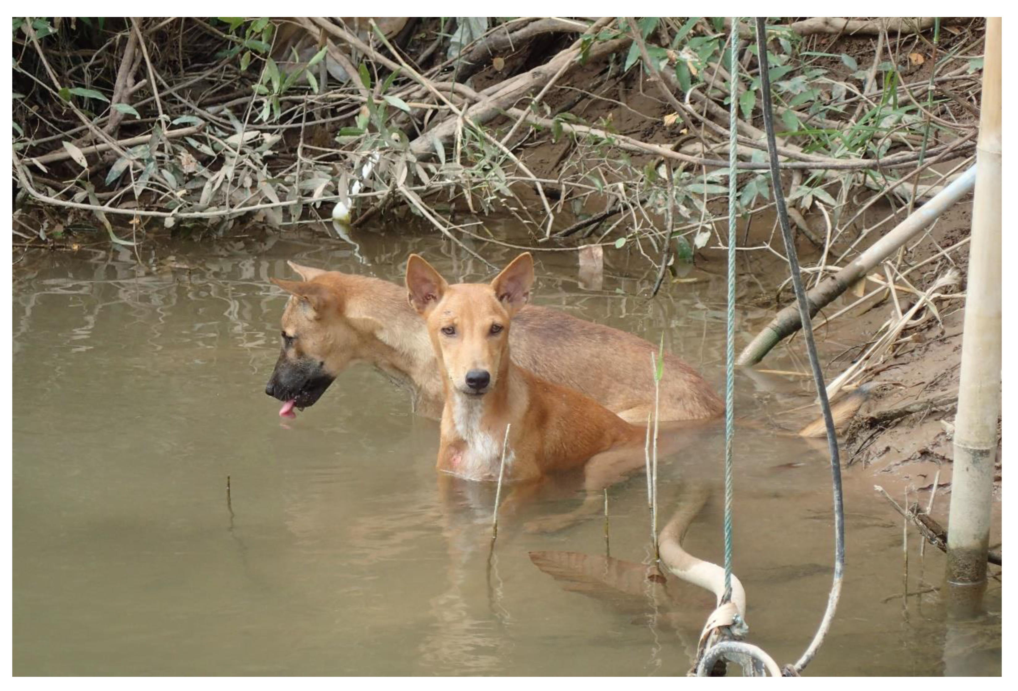 Preprints 75622 g003