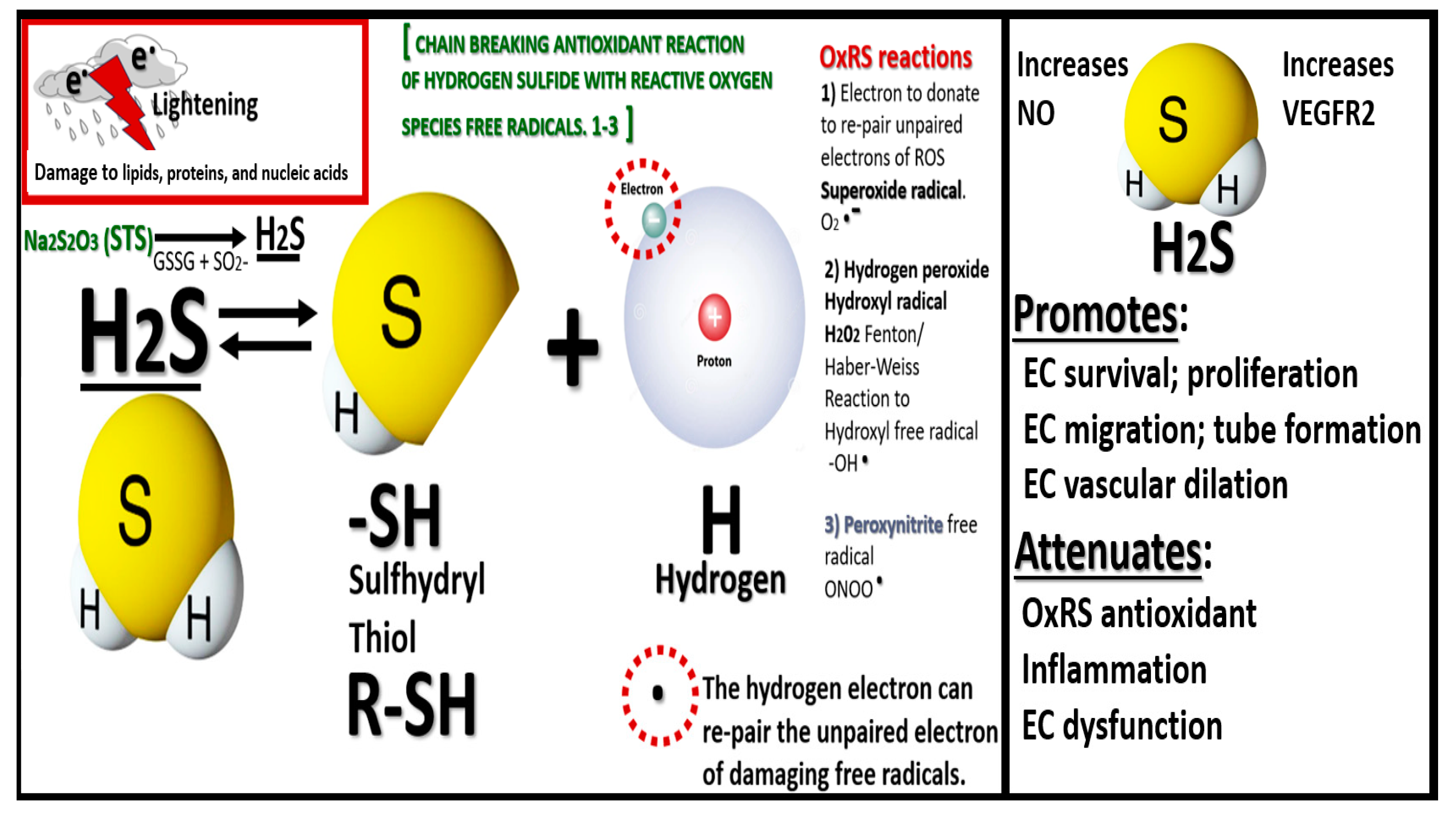 Preprints 142119 g004