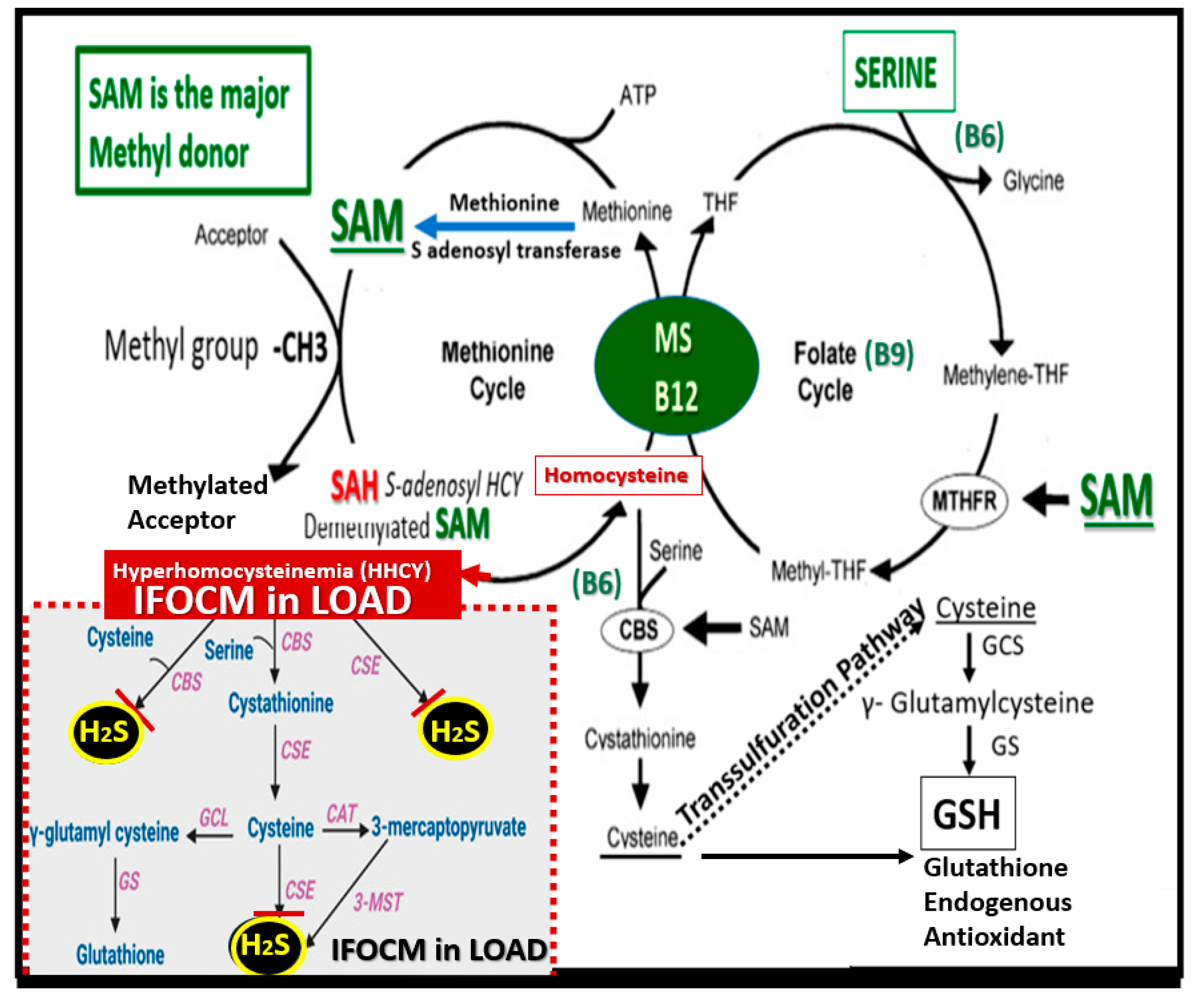 Preprints 142119 g005