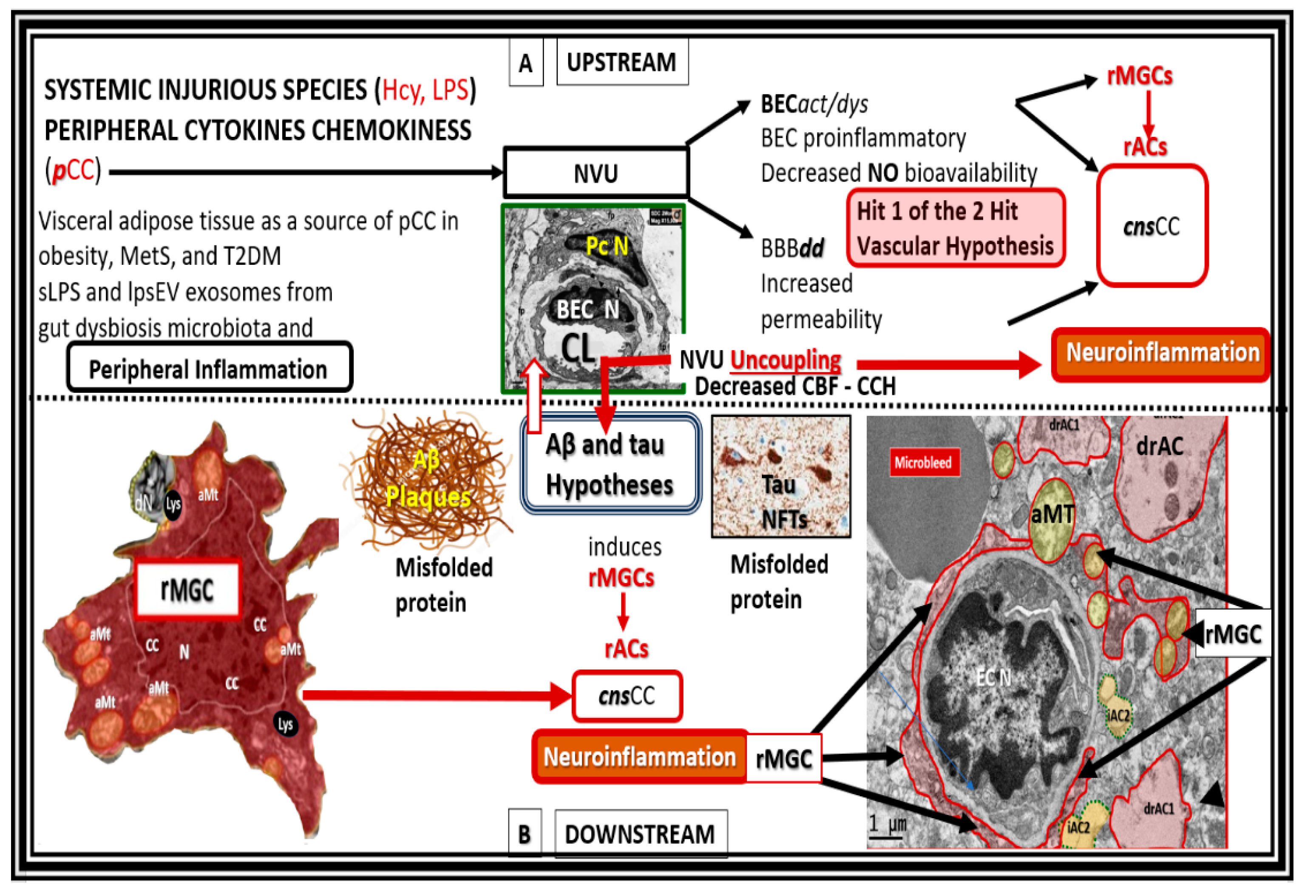 Preprints 142119 g008