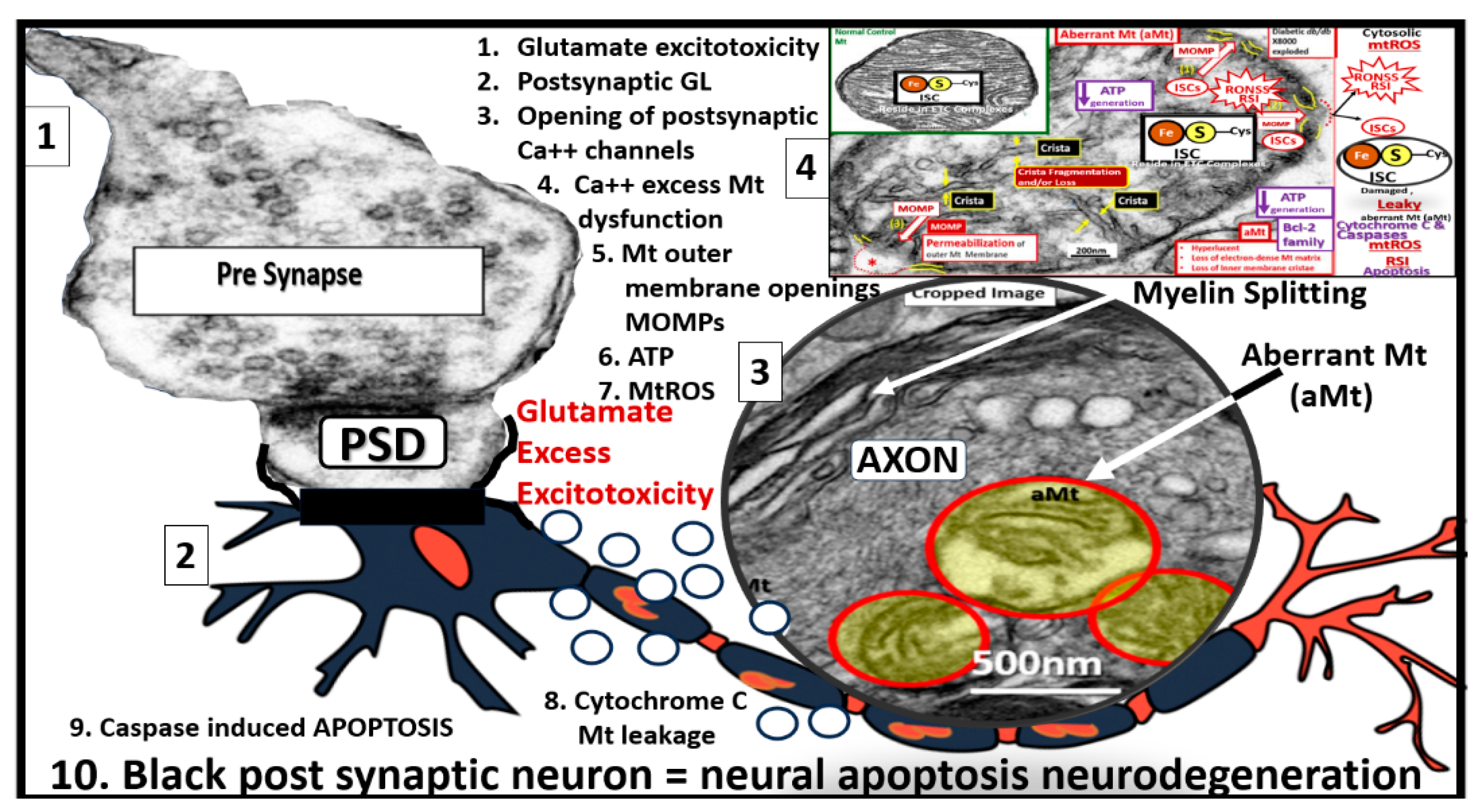 Preprints 142119 g009
