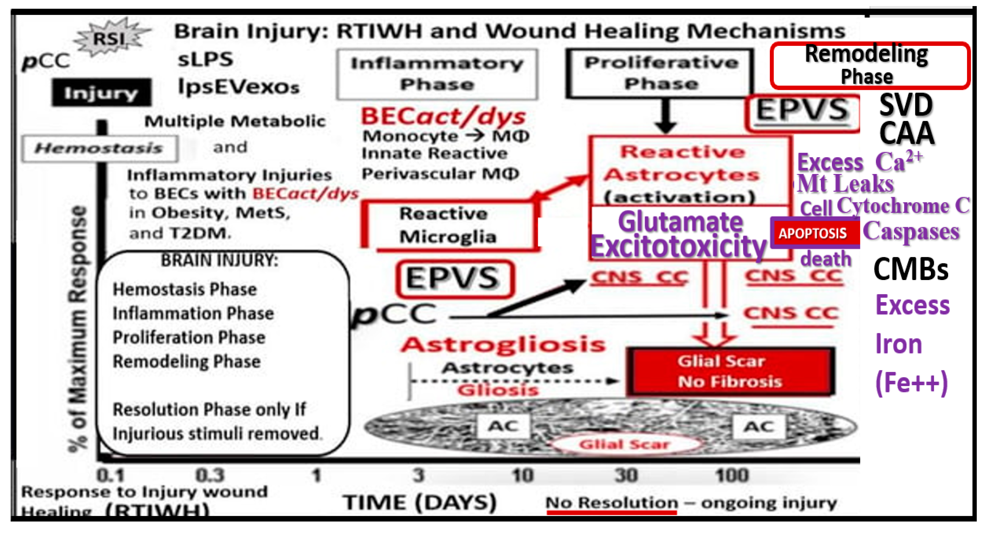 Preprints 142119 g010