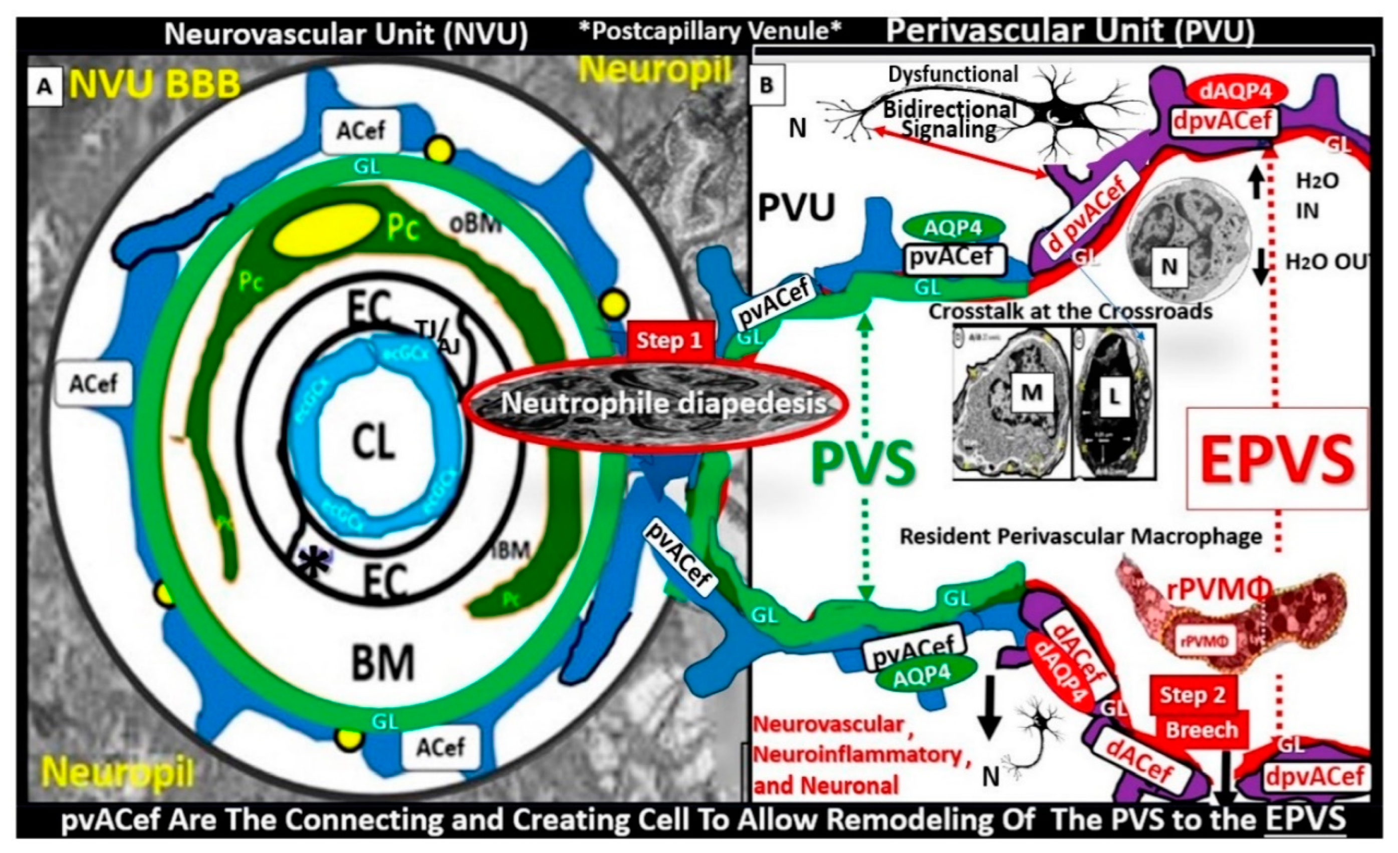 Preprints 142119 g012