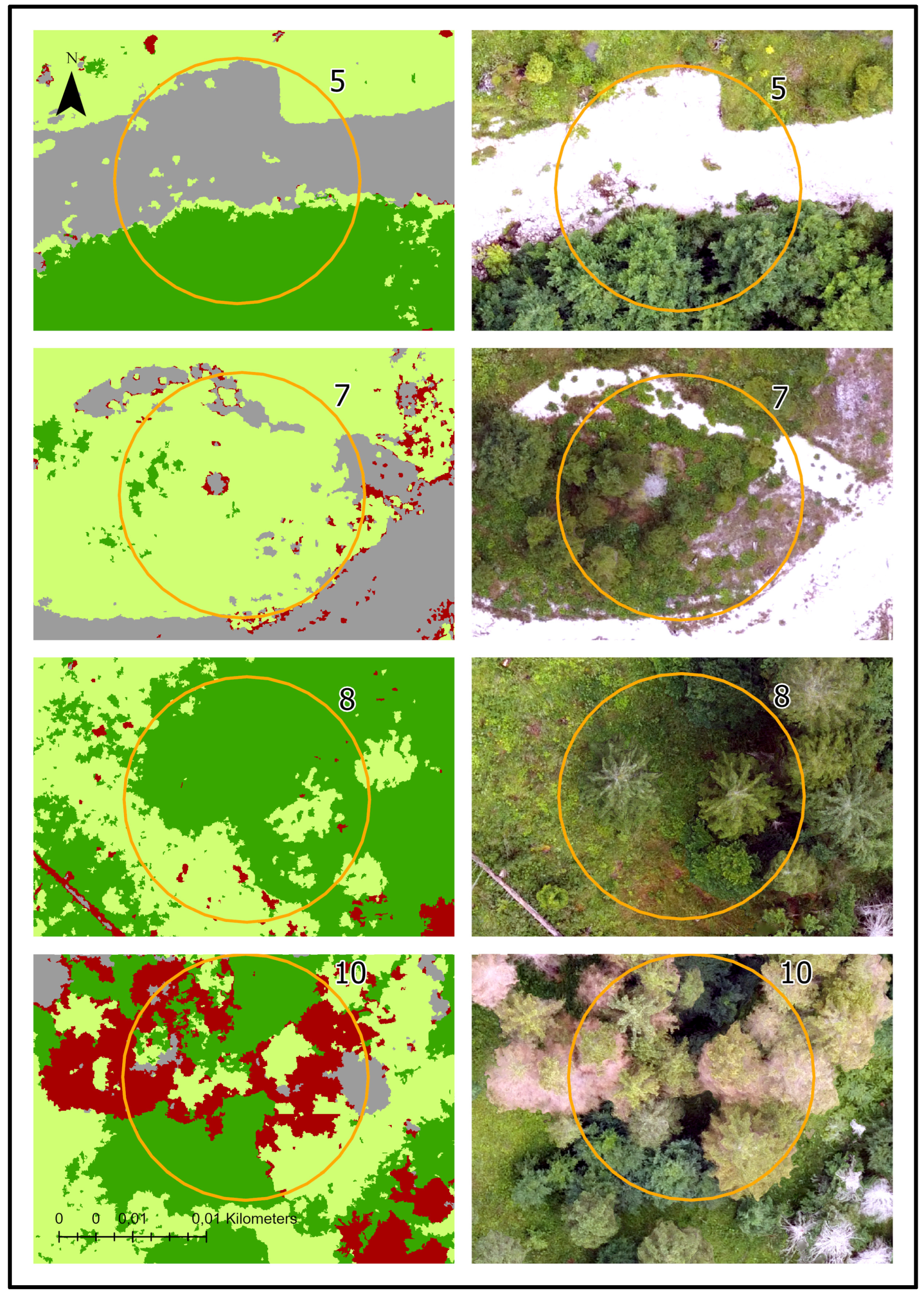 Preprints 117488 g009